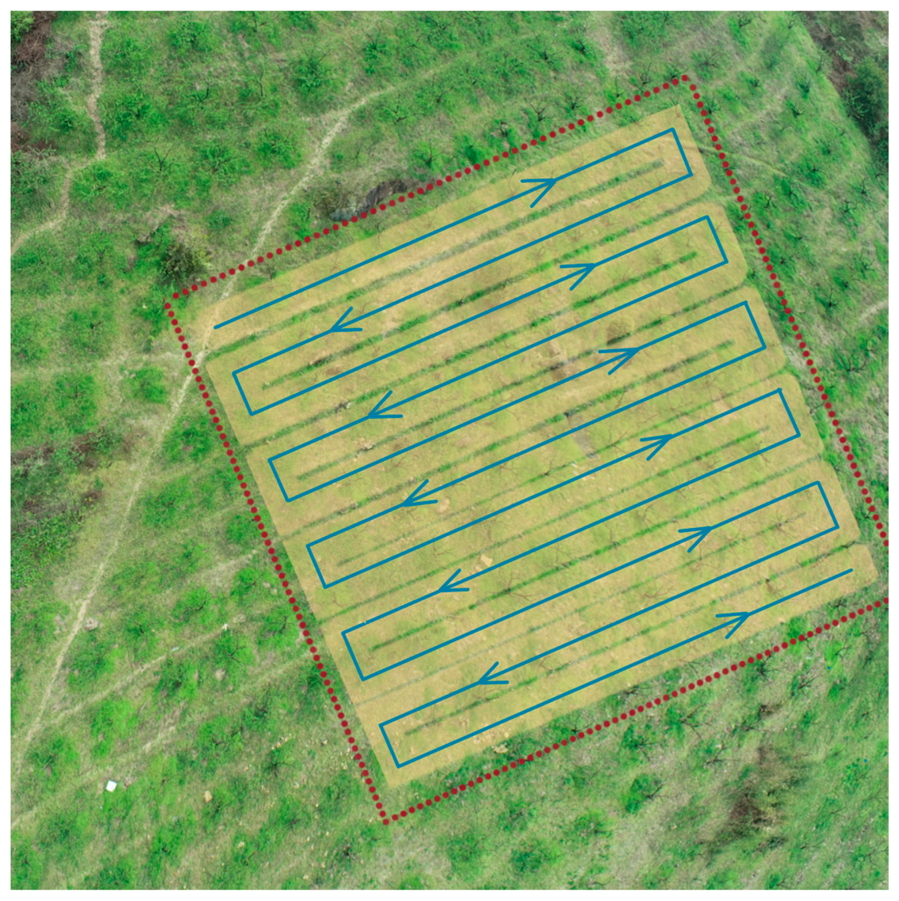 Agronomy 12 02828 g004