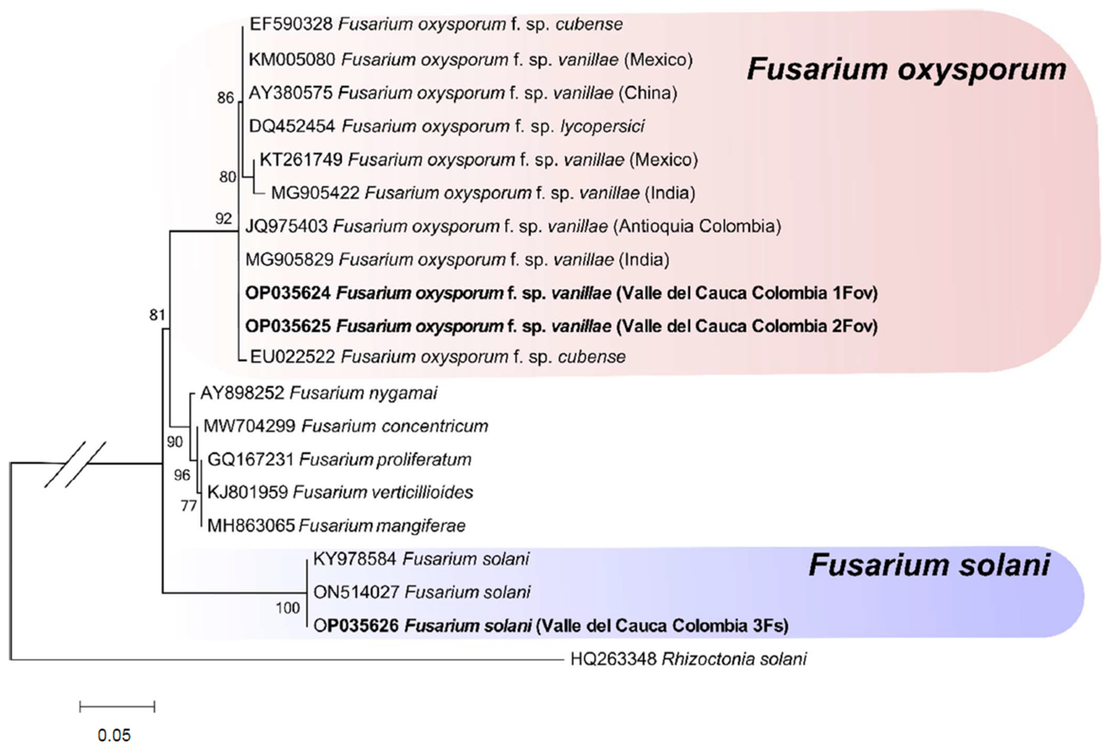 Agronomy 12 02831 g003 Agronomy 12 02831 g003
