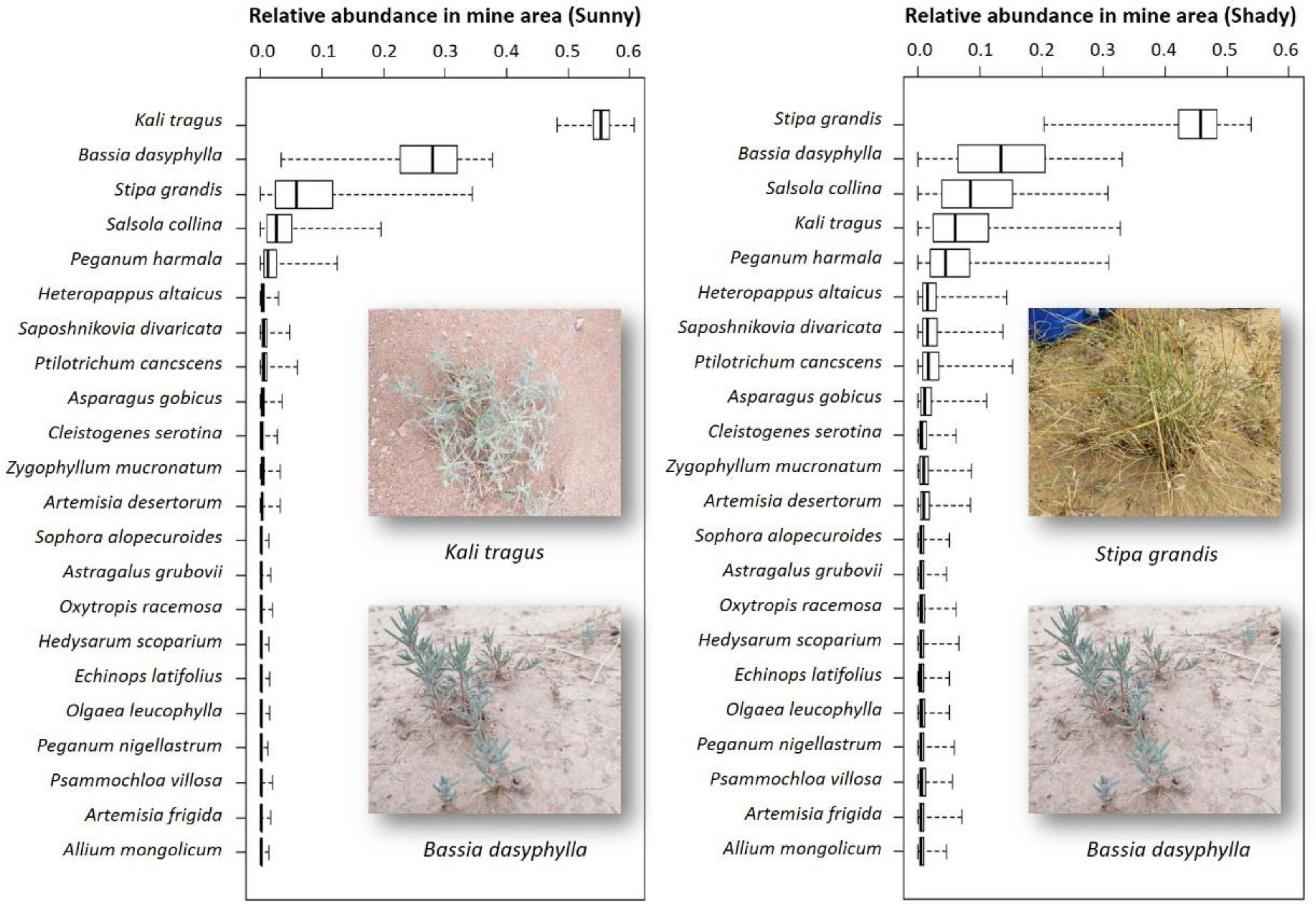 Agronomy 12 02833 g004