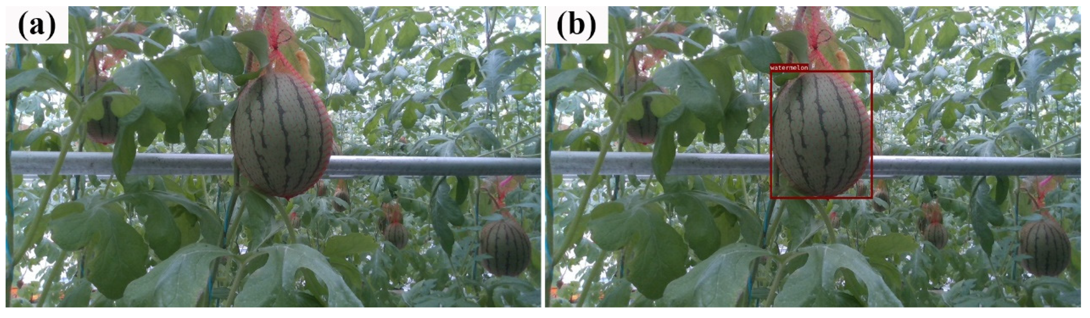 Agronomy 12 02836 g012 Agronomy 12 02836 g012