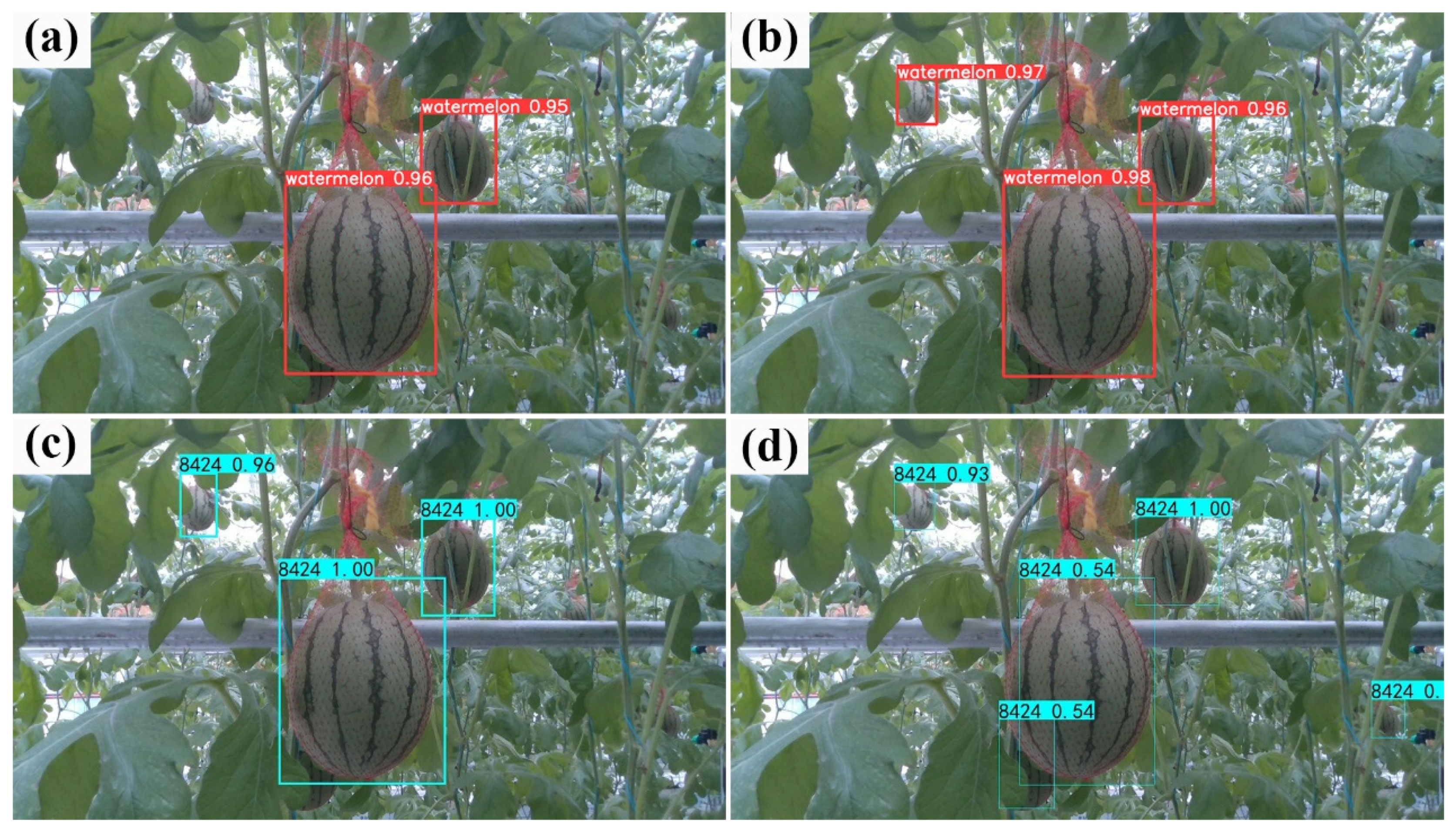 Agronomy 12 02836 g013 Agronomy 12 02836 g013