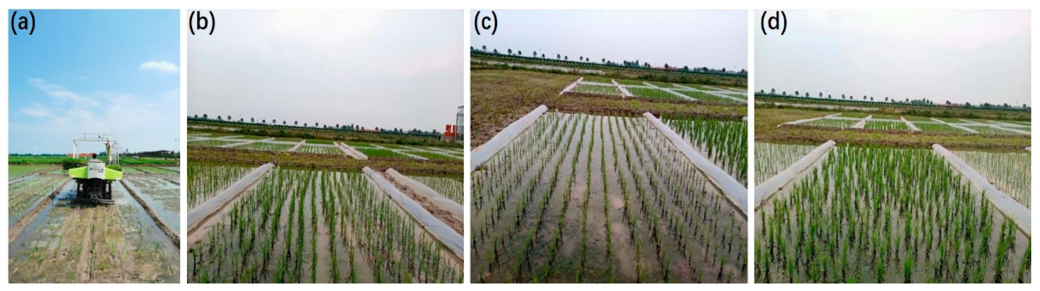 Agronomy 12 02837 g001 Agronomy 12 02837 g001