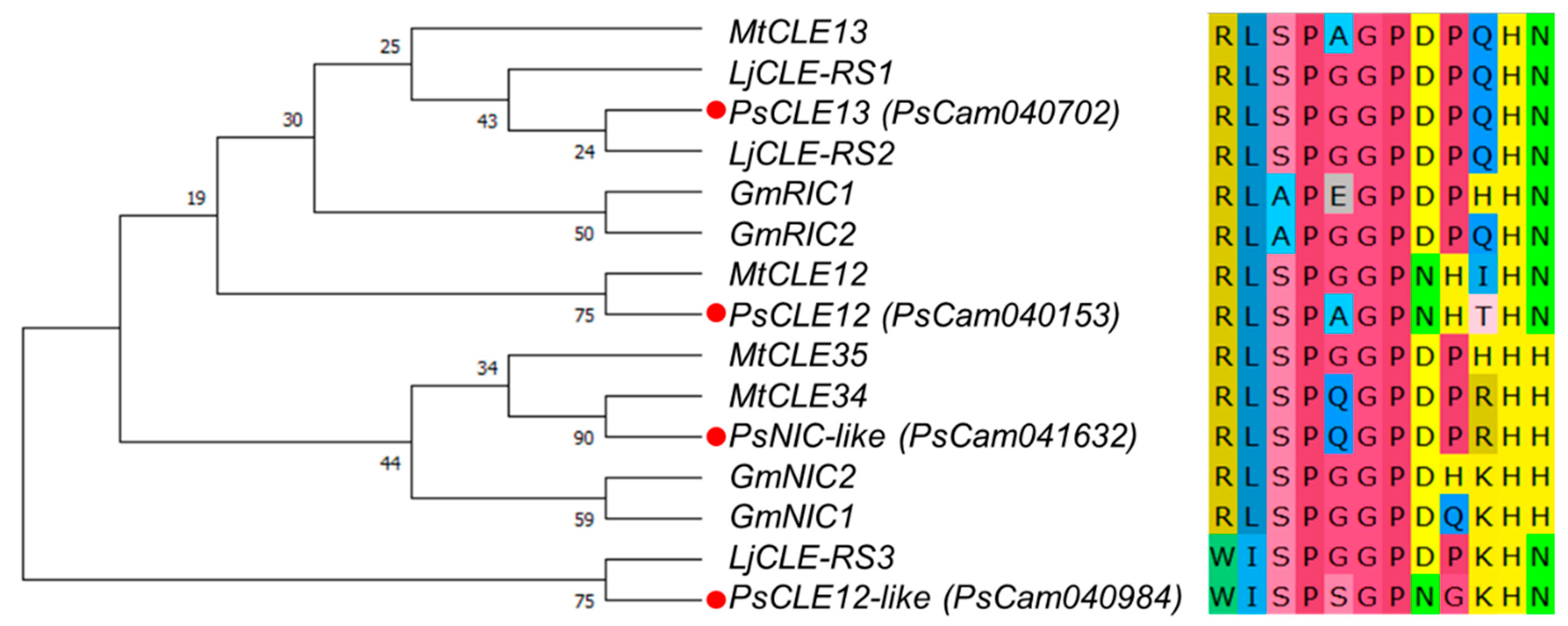 Agronomy 12 02840 g001 Agronomy 12 02840 g001