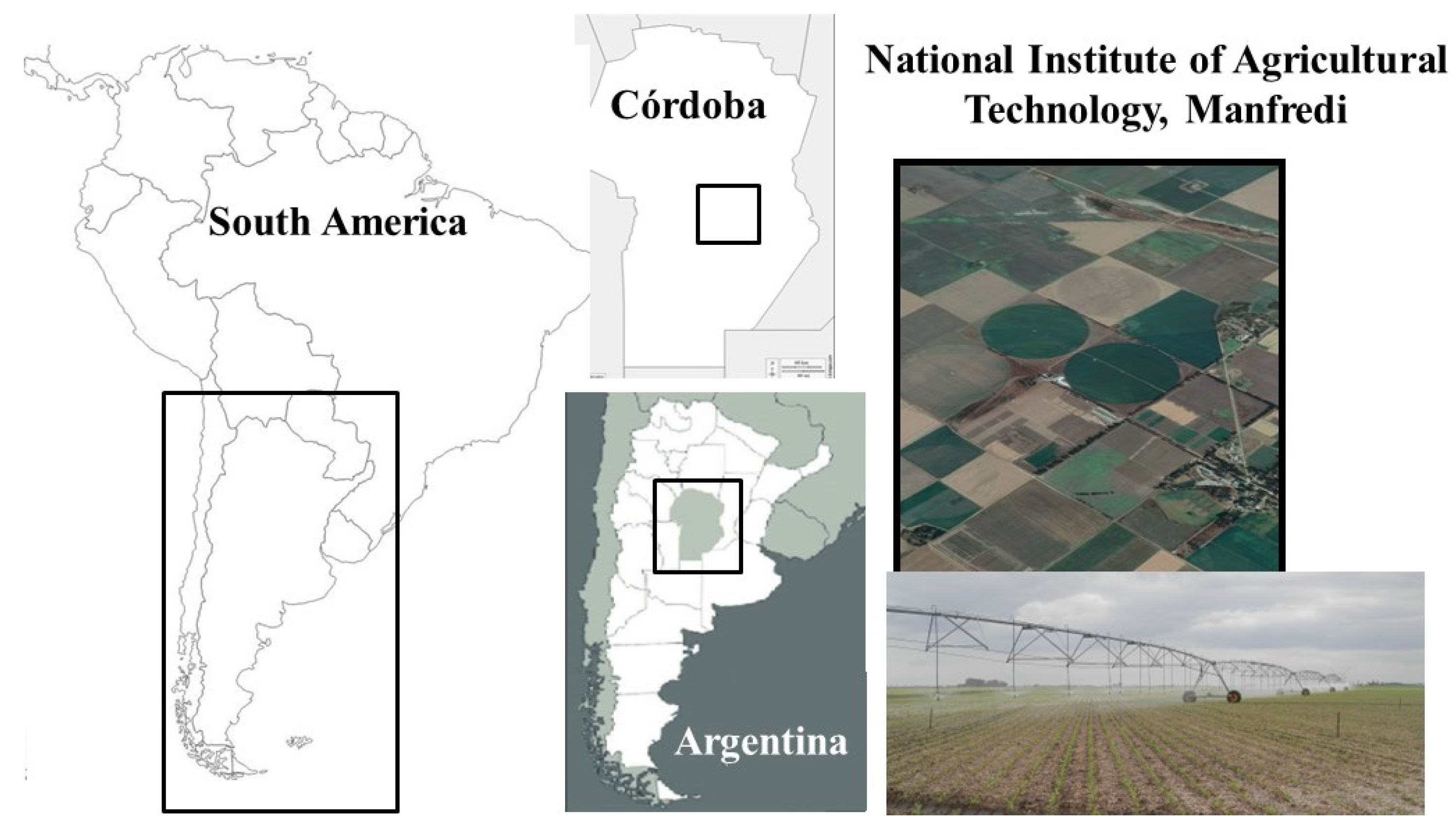 Agronomy 12 02842 g001