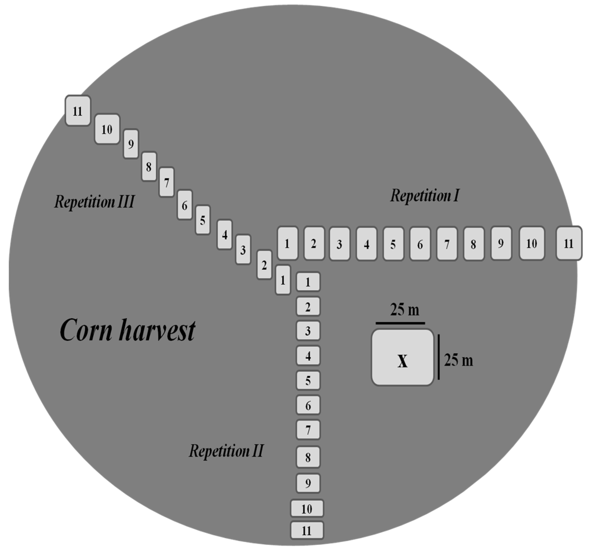 Agronomy 12 02842 g005