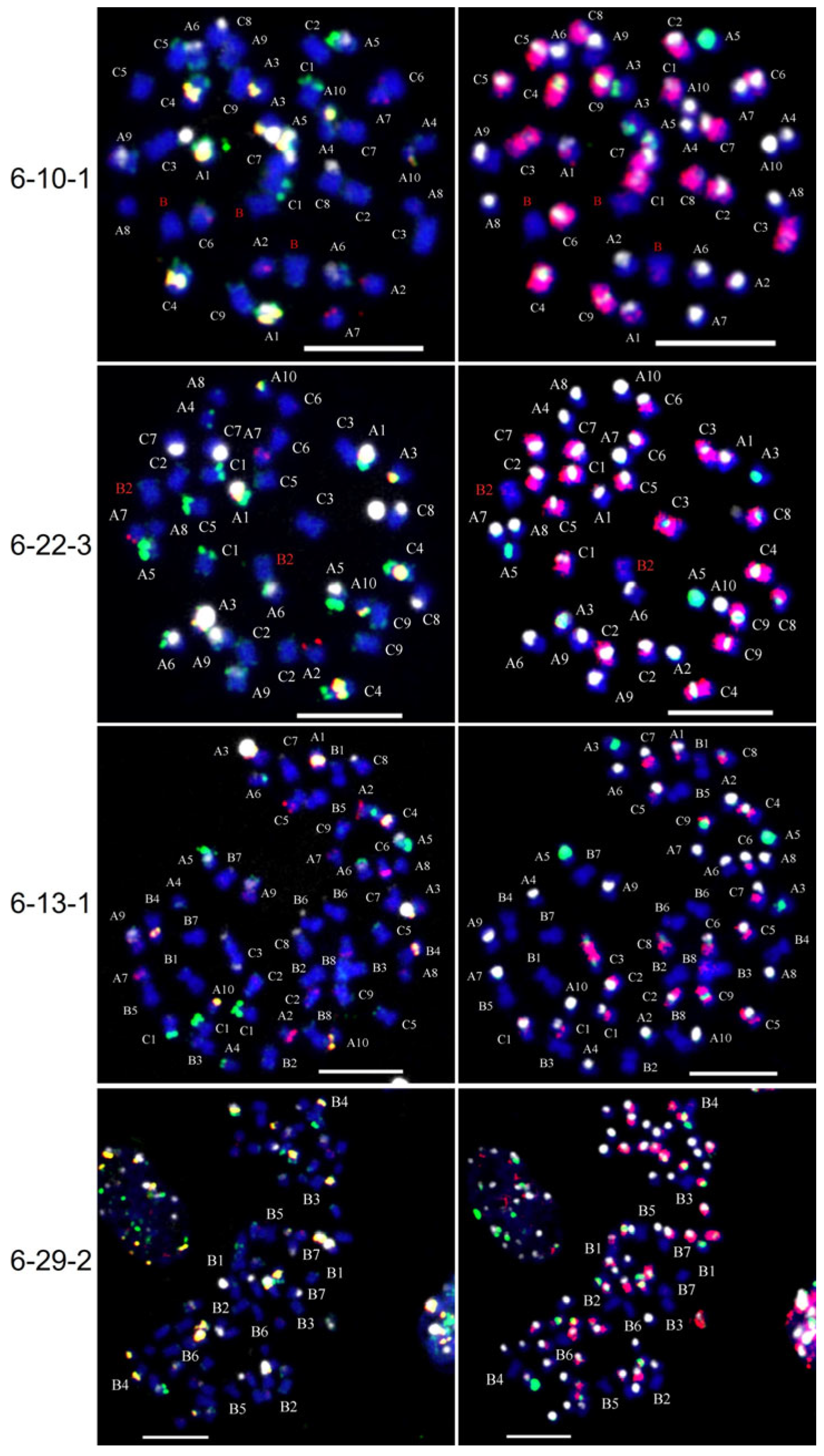 Agronomy 12 02843 g004 Agronomy 12 02843 g004