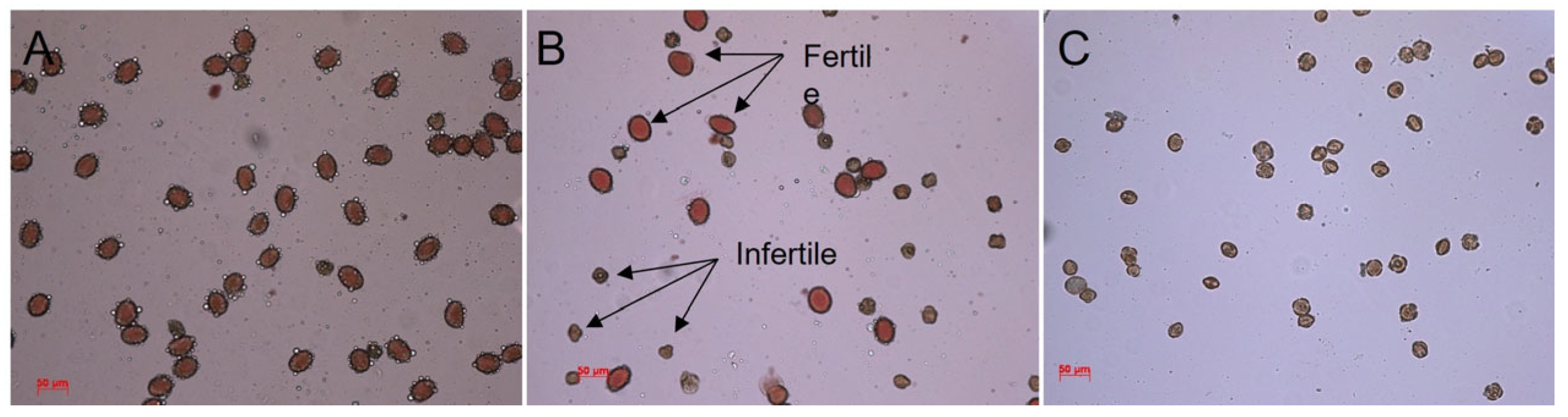 Agronomy 12 02843 g005 Agronomy 12 02843 g005