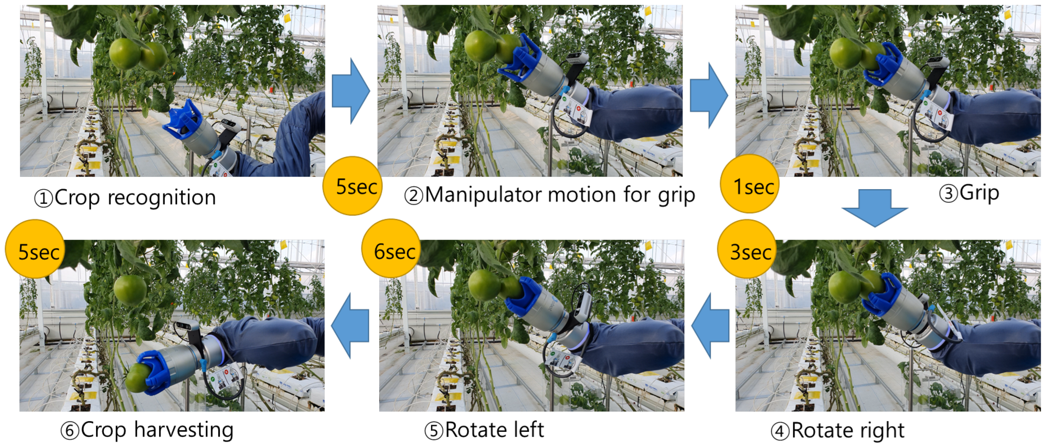 Agronomy 12 02844 g006