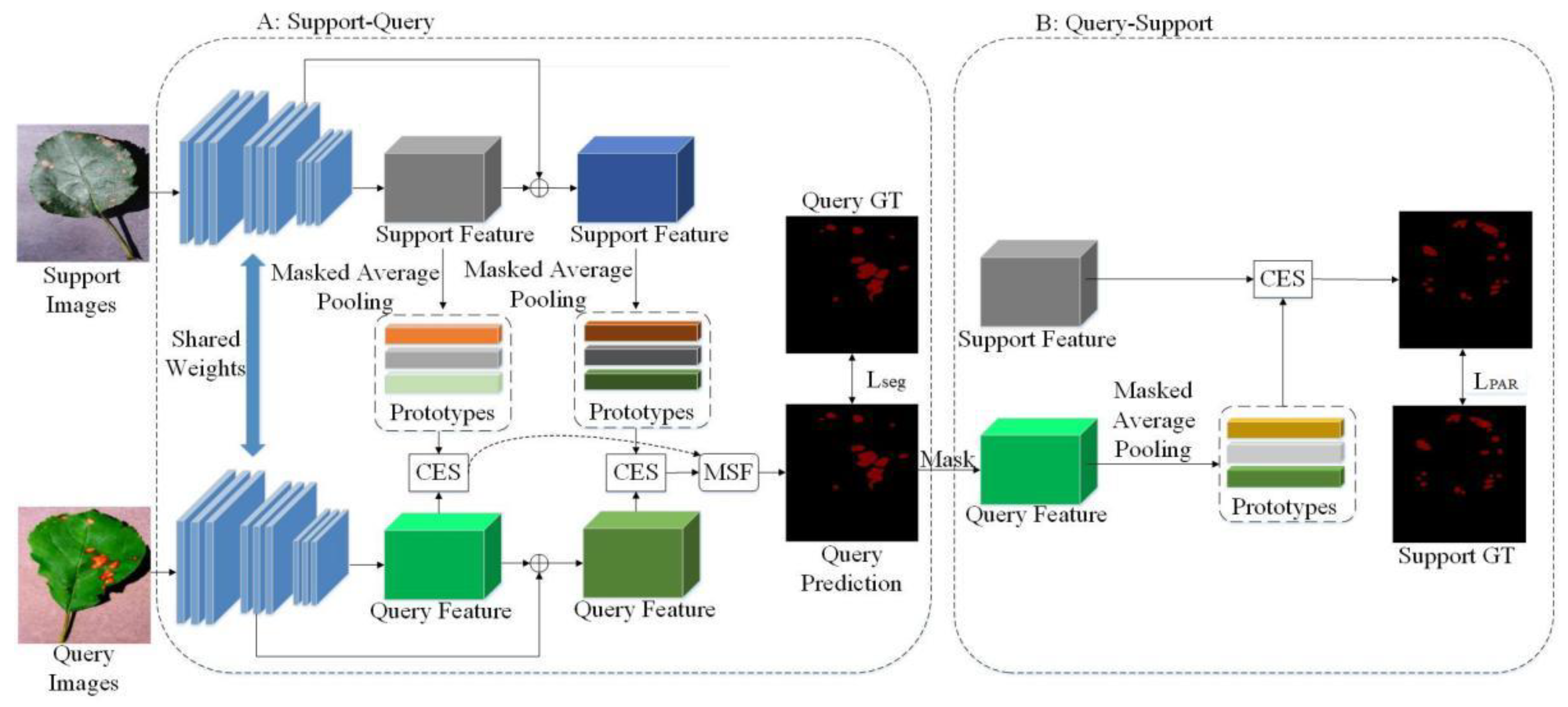 Agronomy 12 02847 g001