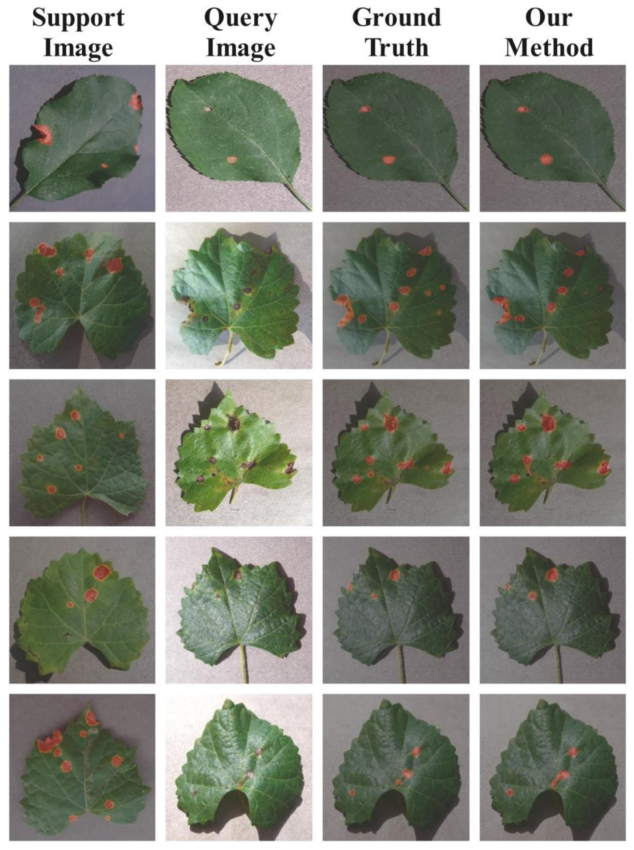 Agronomy 12 02847 g004