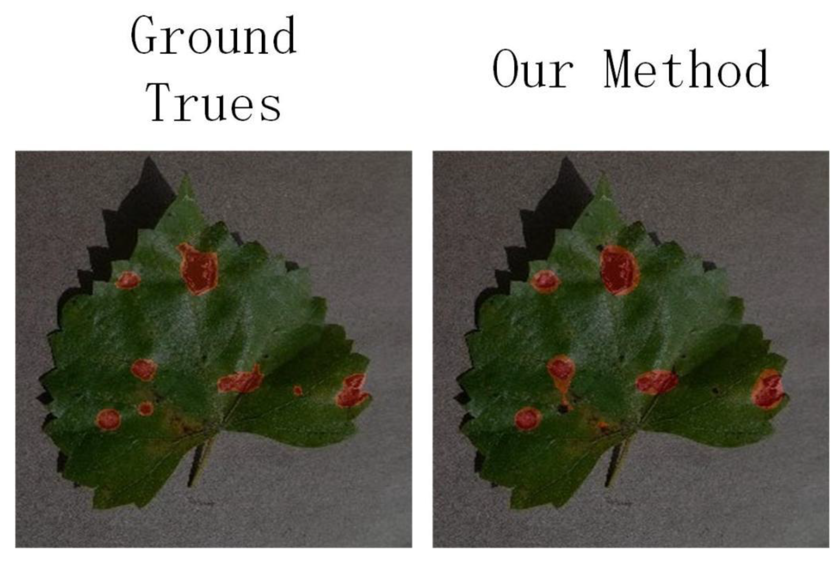 Agronomy 12 02847 g005