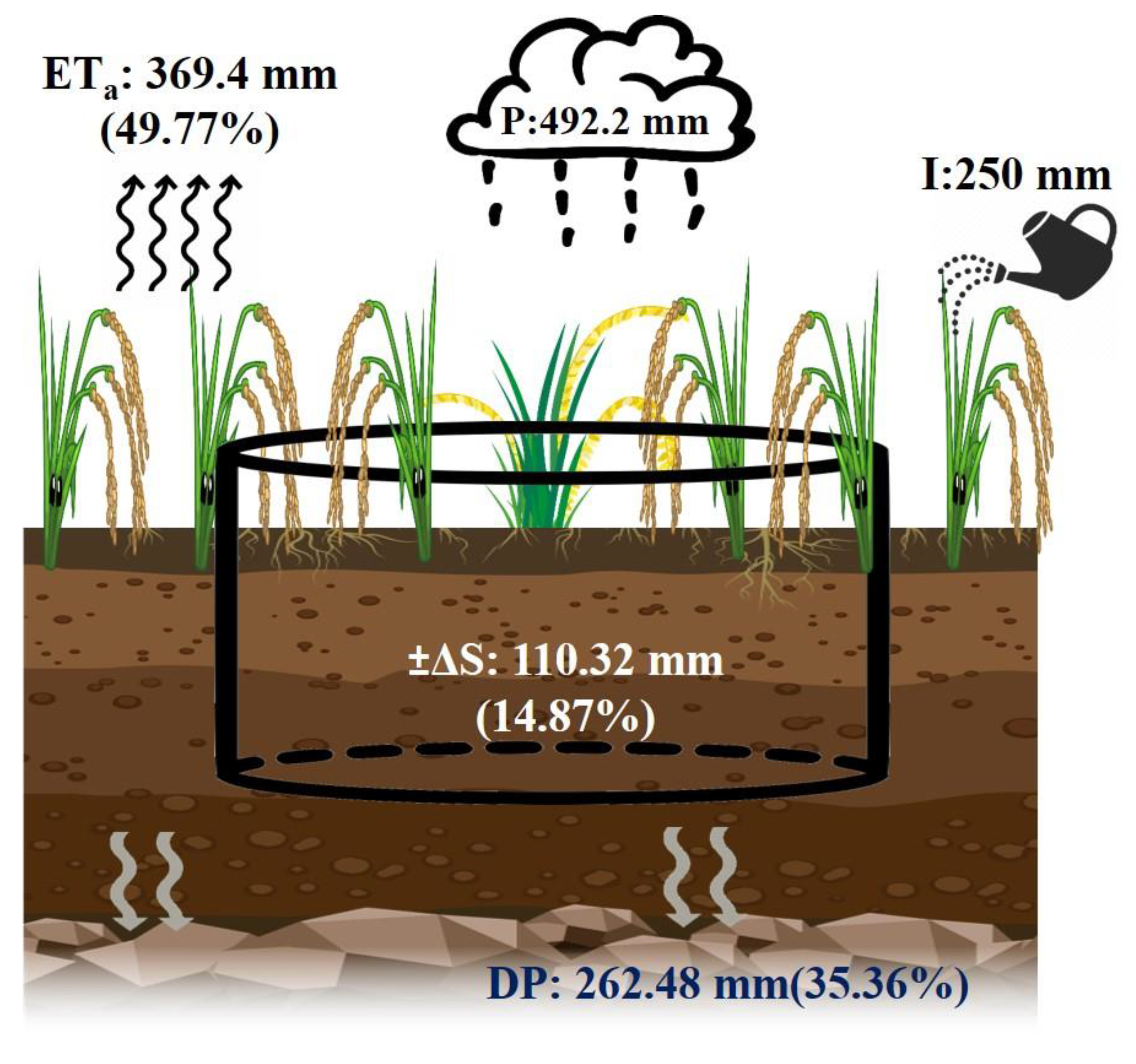 Agronomy 12 02850 g006 Agronomy 12 02850 g006