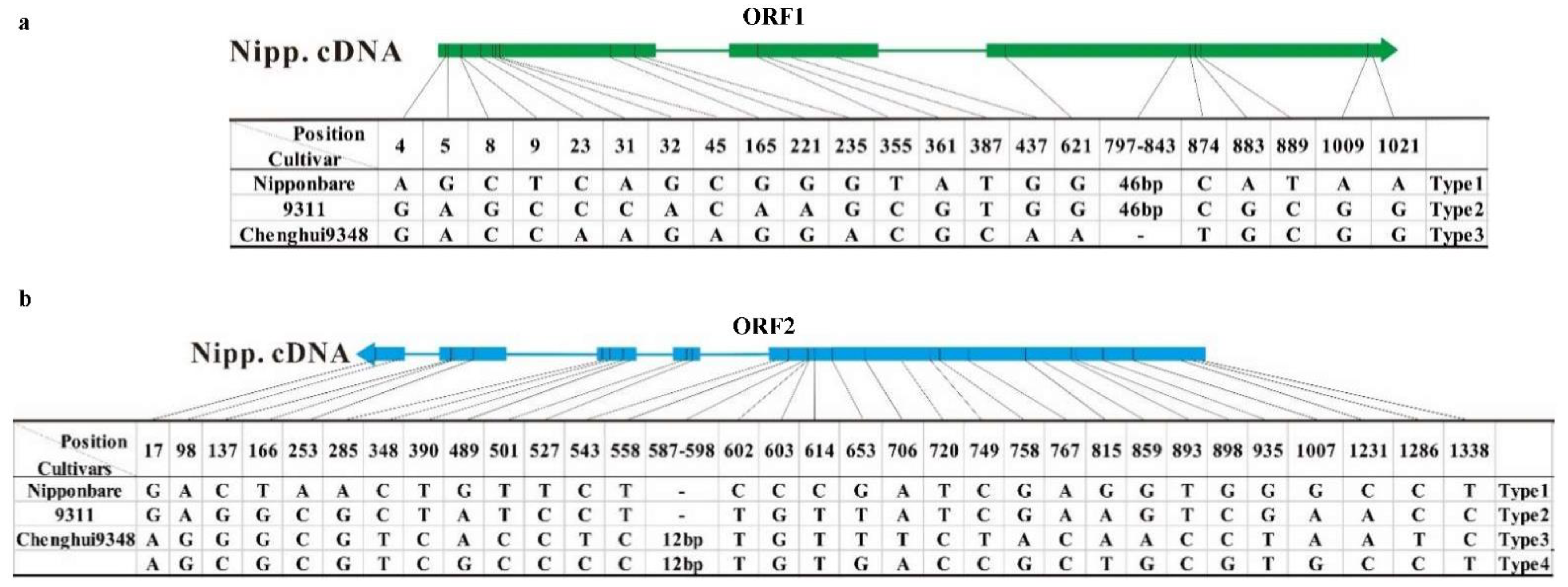 Agronomy 12 02851 g005