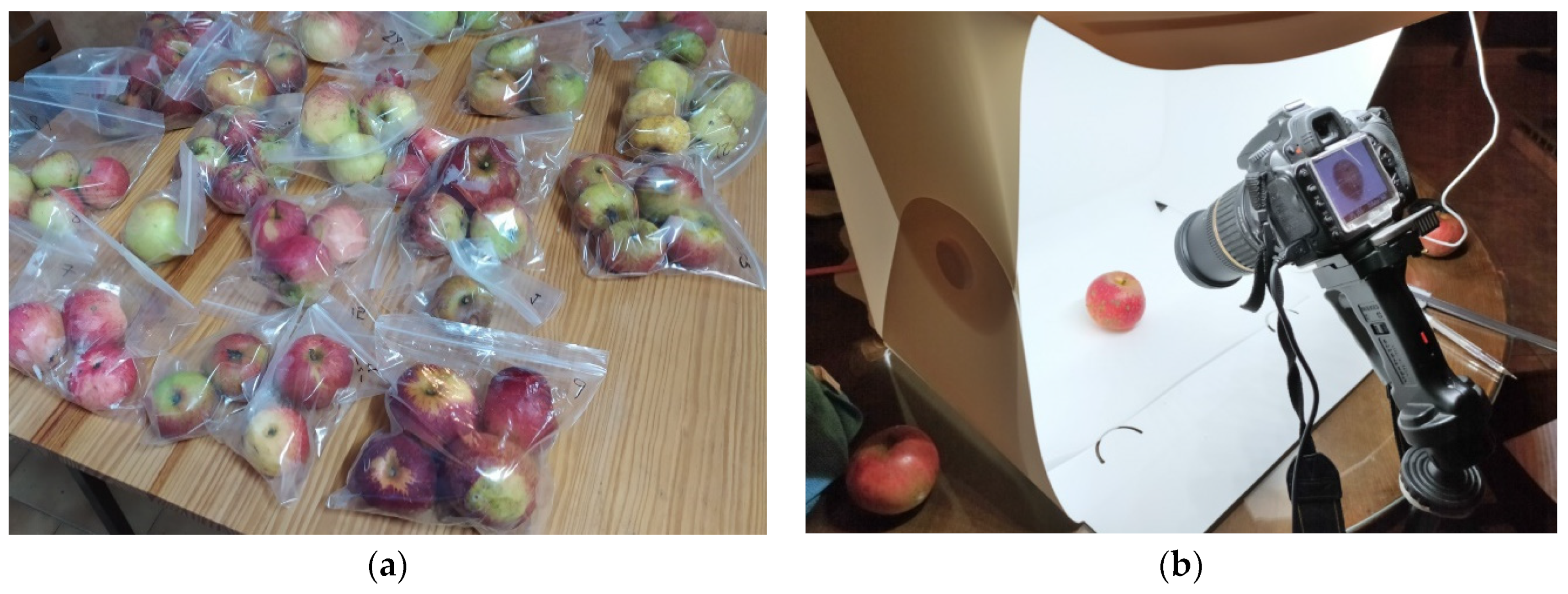 Agronomy 12 02856 g003