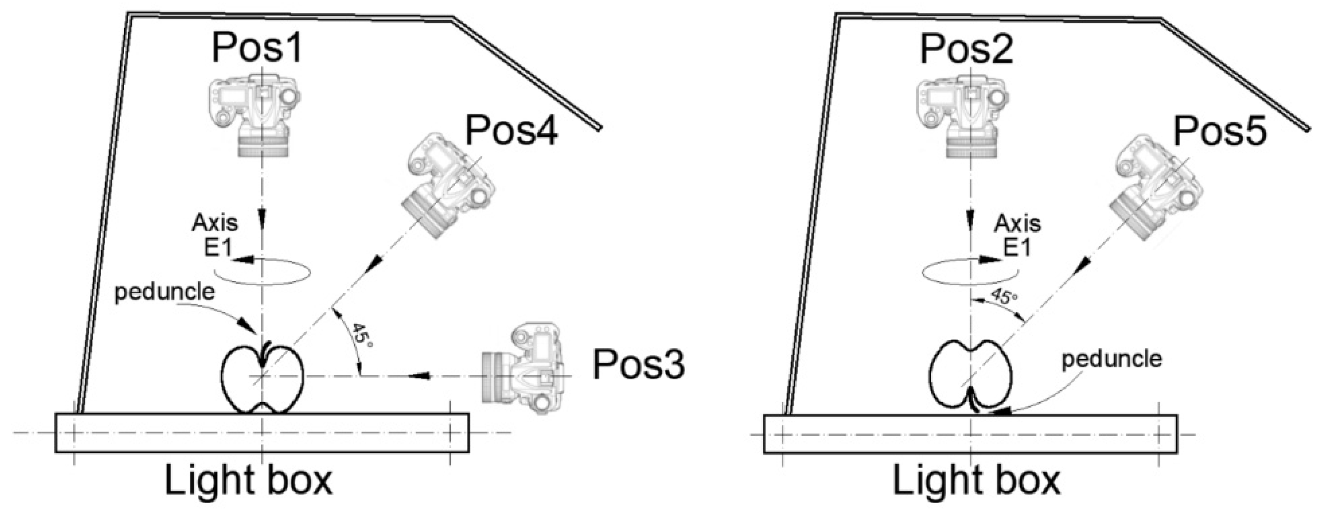 Agronomy 12 02856 g004