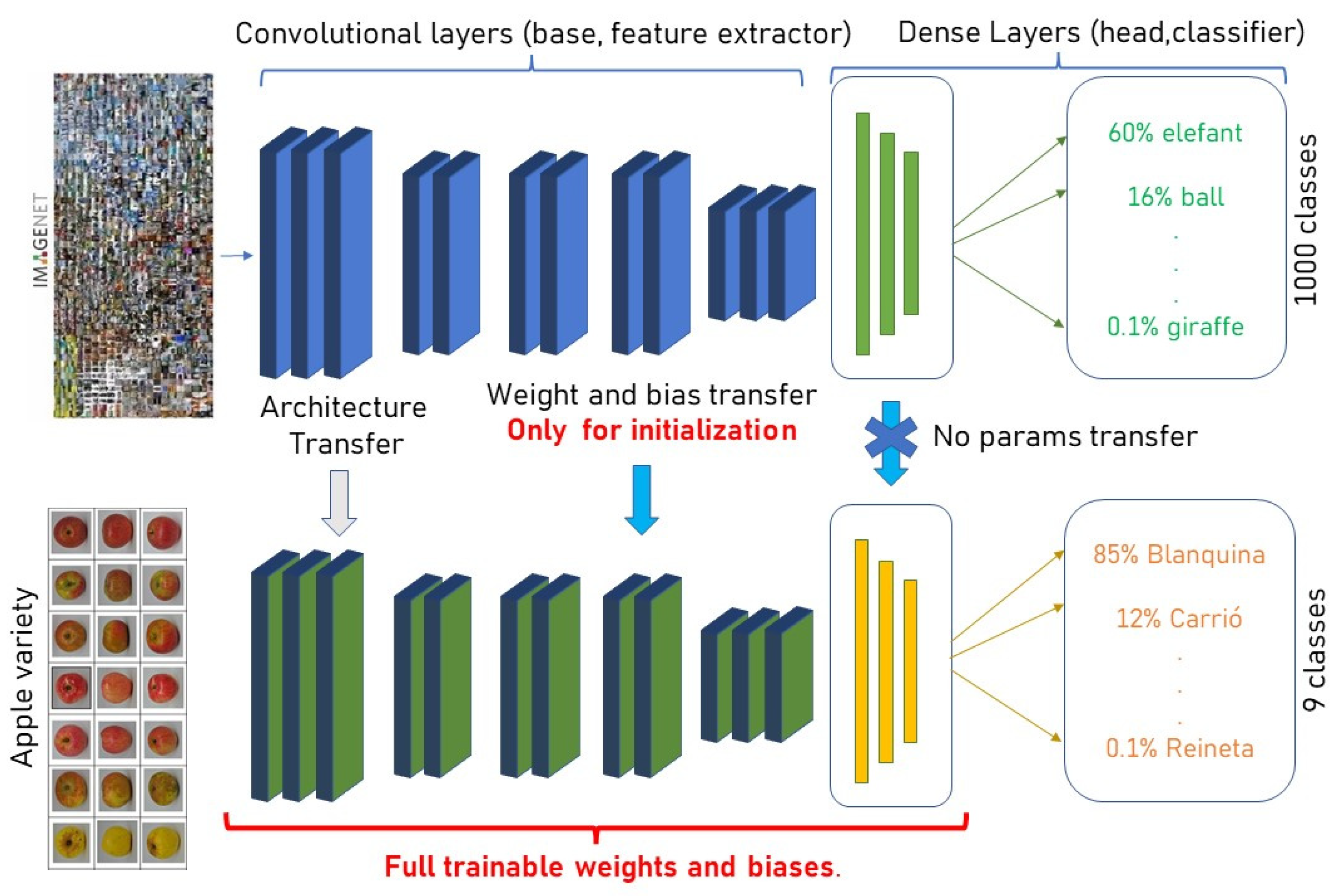 Agronomy 12 02856 g007