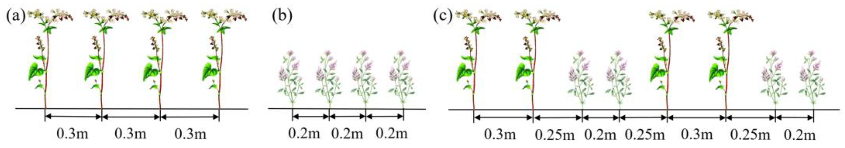Agronomy 12 02860 g003 Agronomy 12 02860 g003