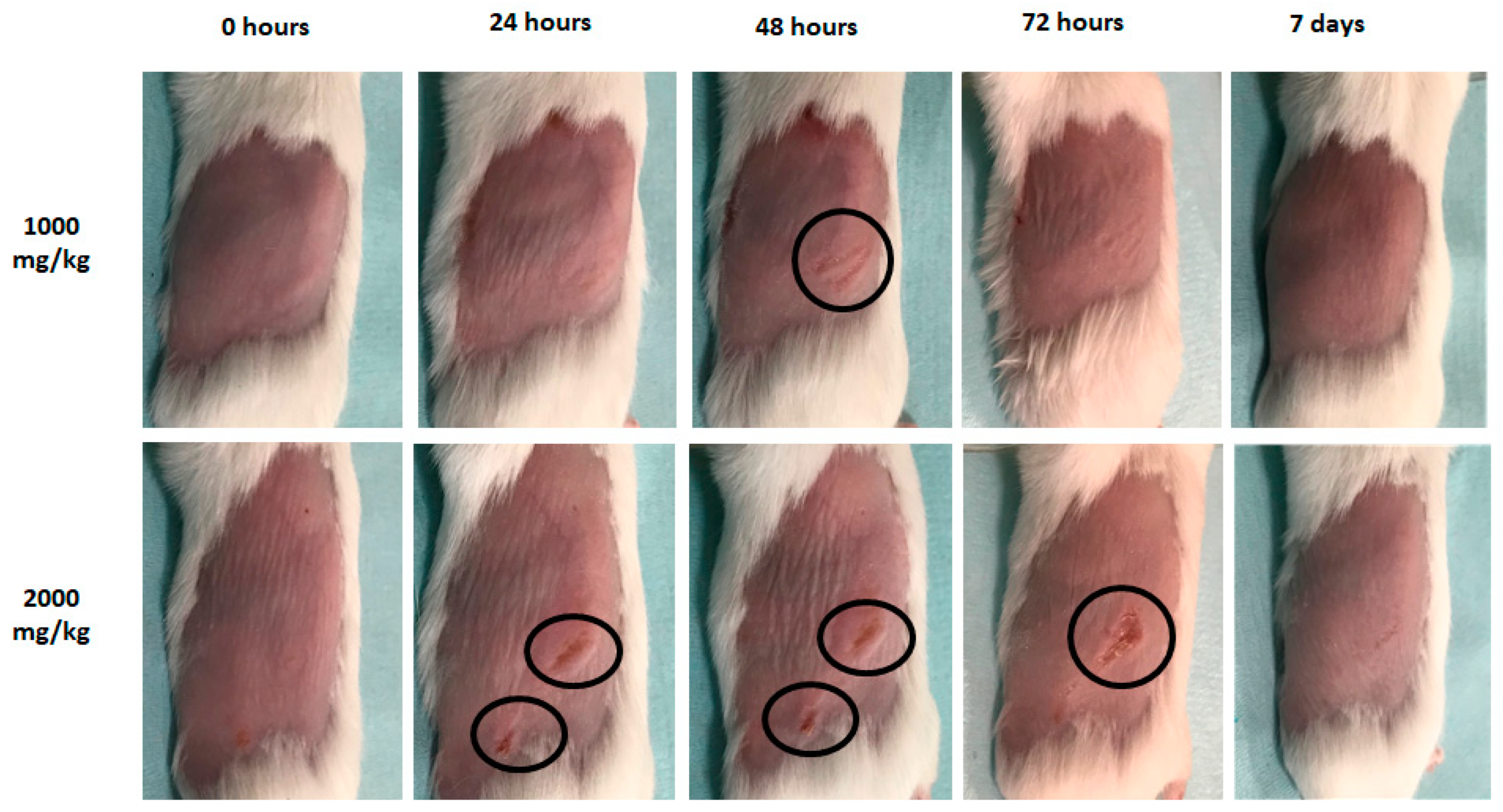 Agronomy 12 02861 g004