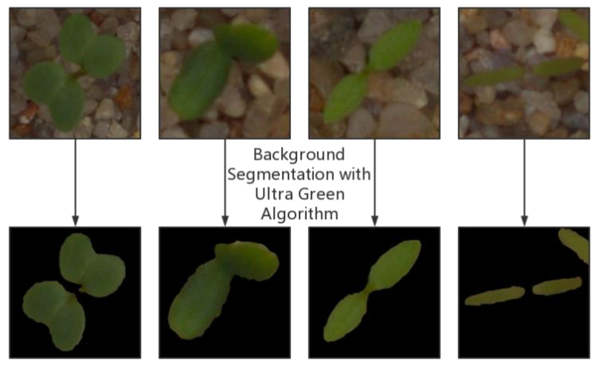 Agronomy 12 02867 g002