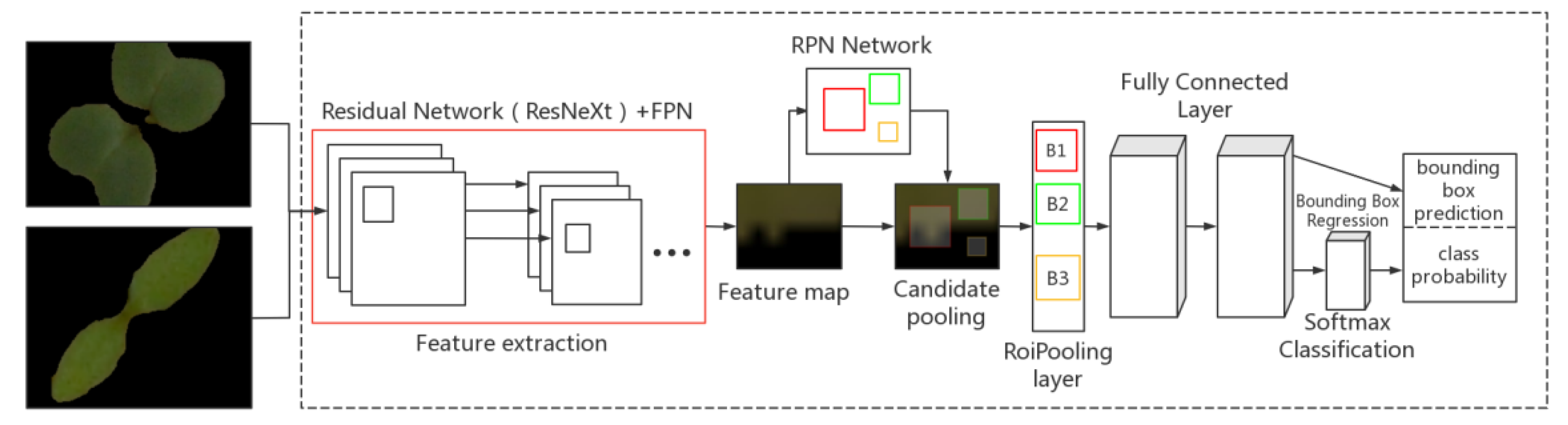 Agronomy 12 02867 g006