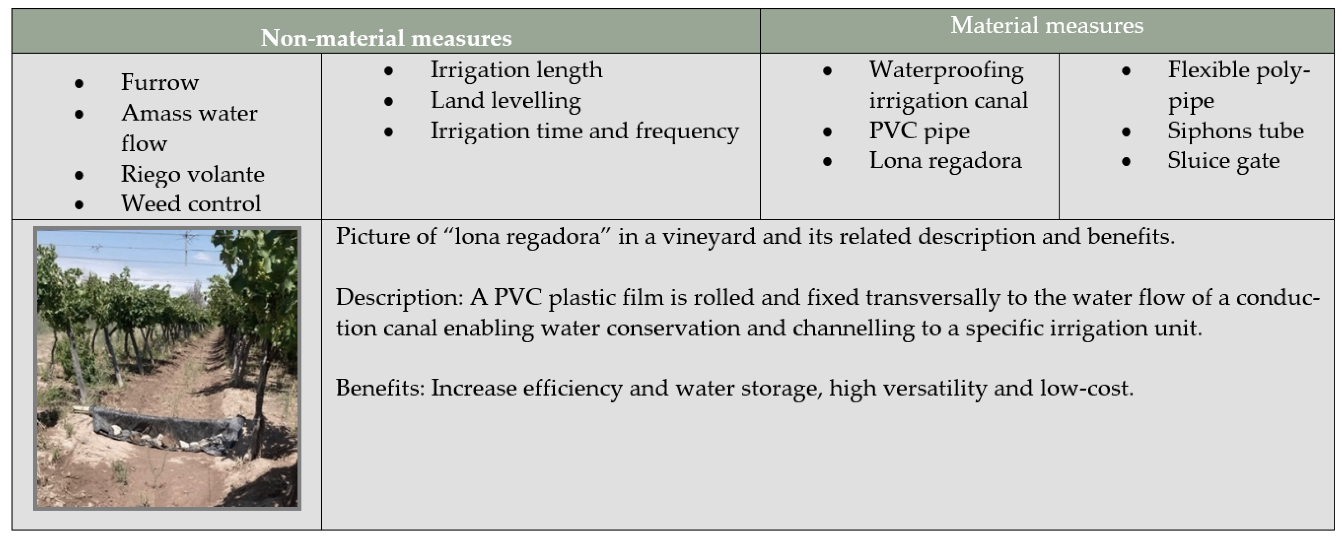 Agronomy 12 02868 g004