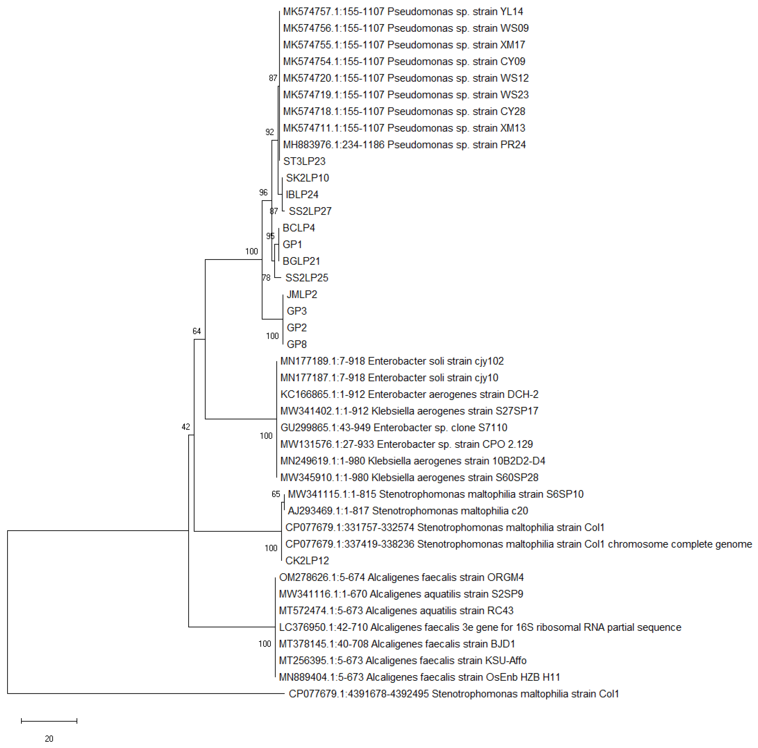 Agronomy 12 02878 g003