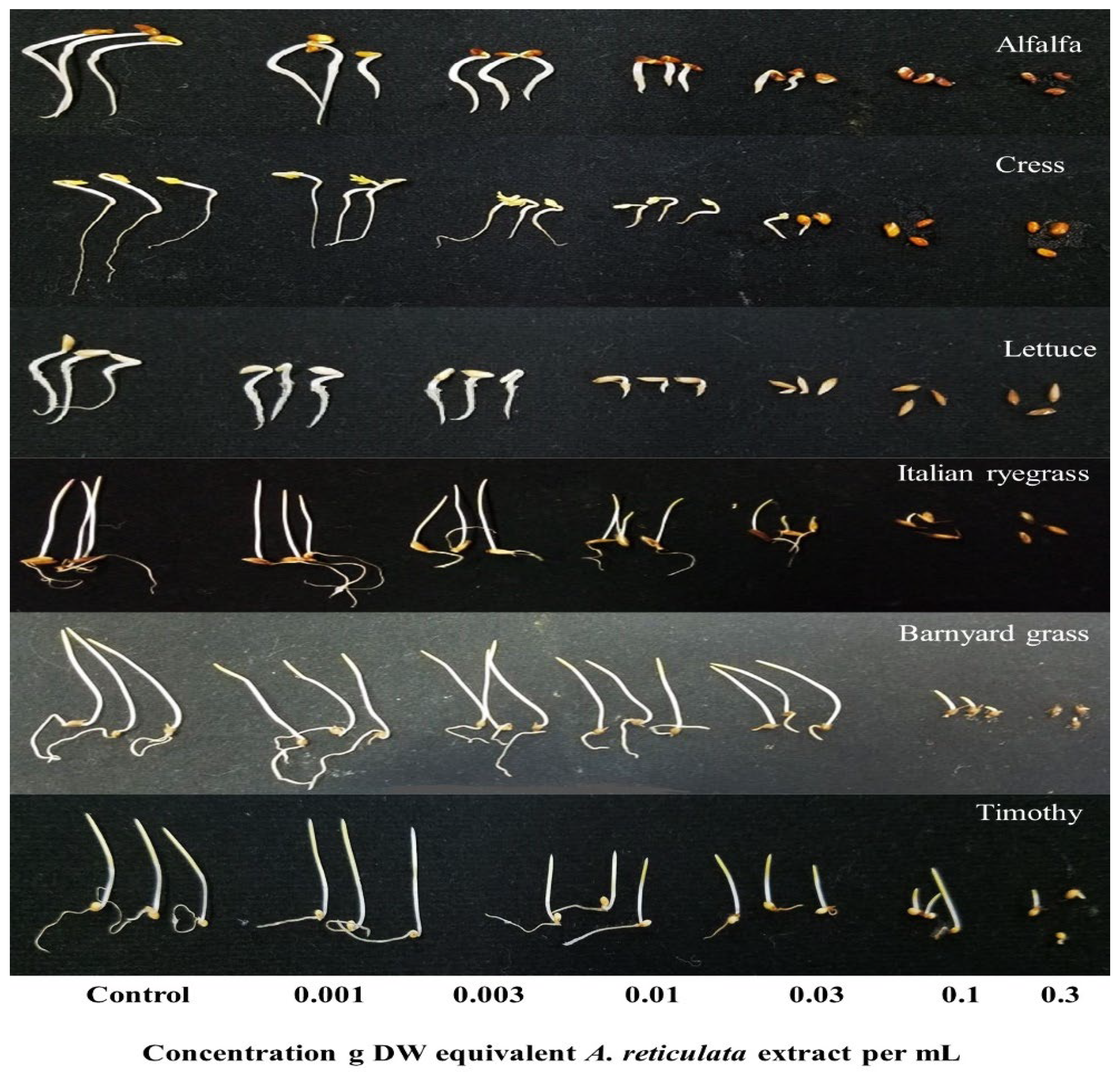 Agronomy 12 02883 g001 Agronomy 12 02883 g001