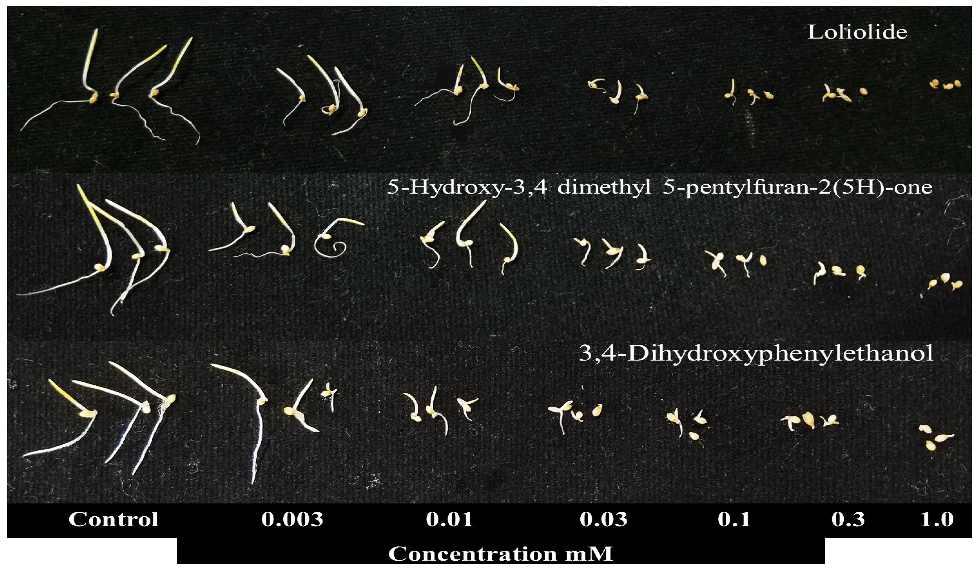 Agronomy 12 02883 g006b Agronomy 12 02883 g006b
