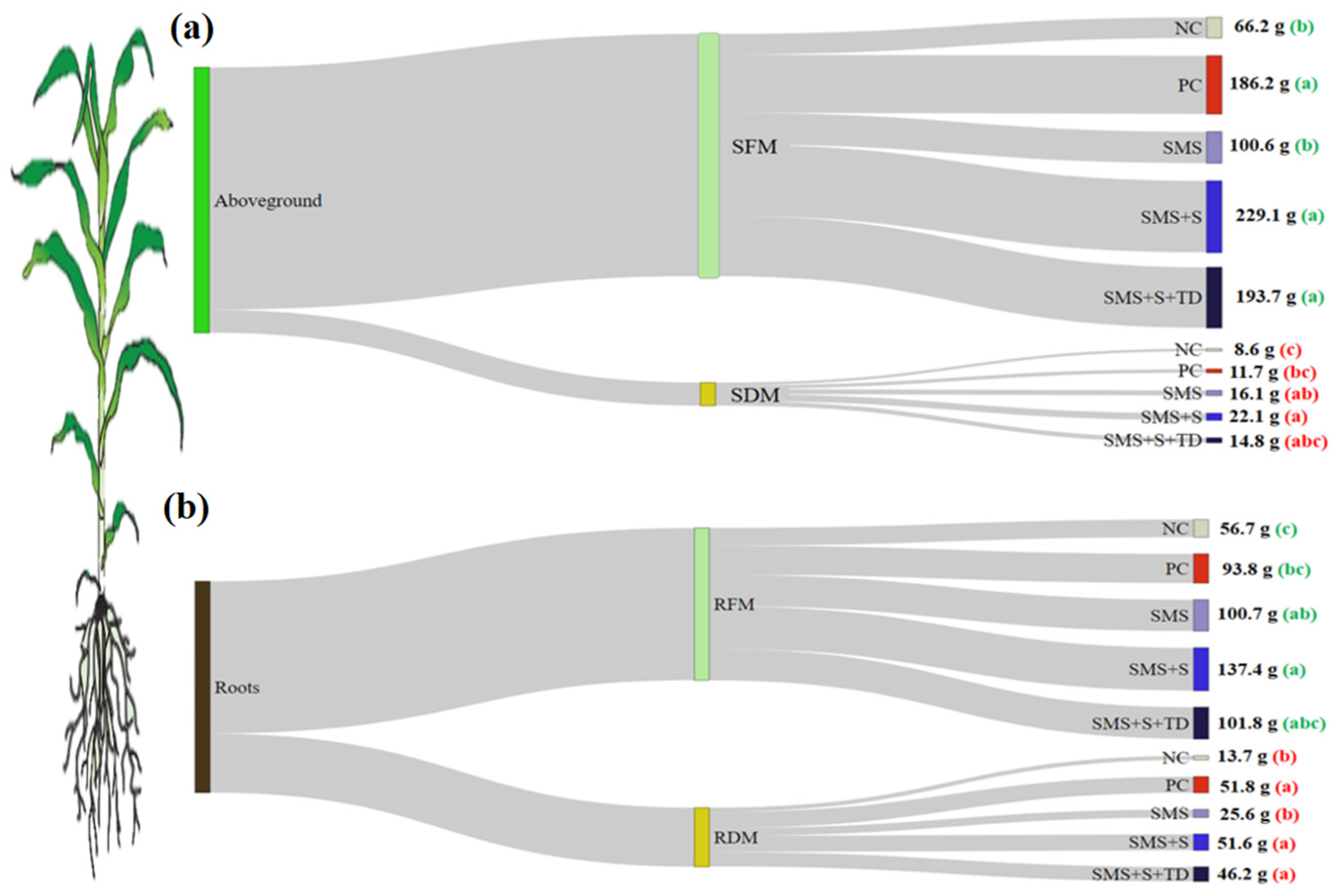 Agronomy 12 02884 g001 Agronomy 12 02884 g001