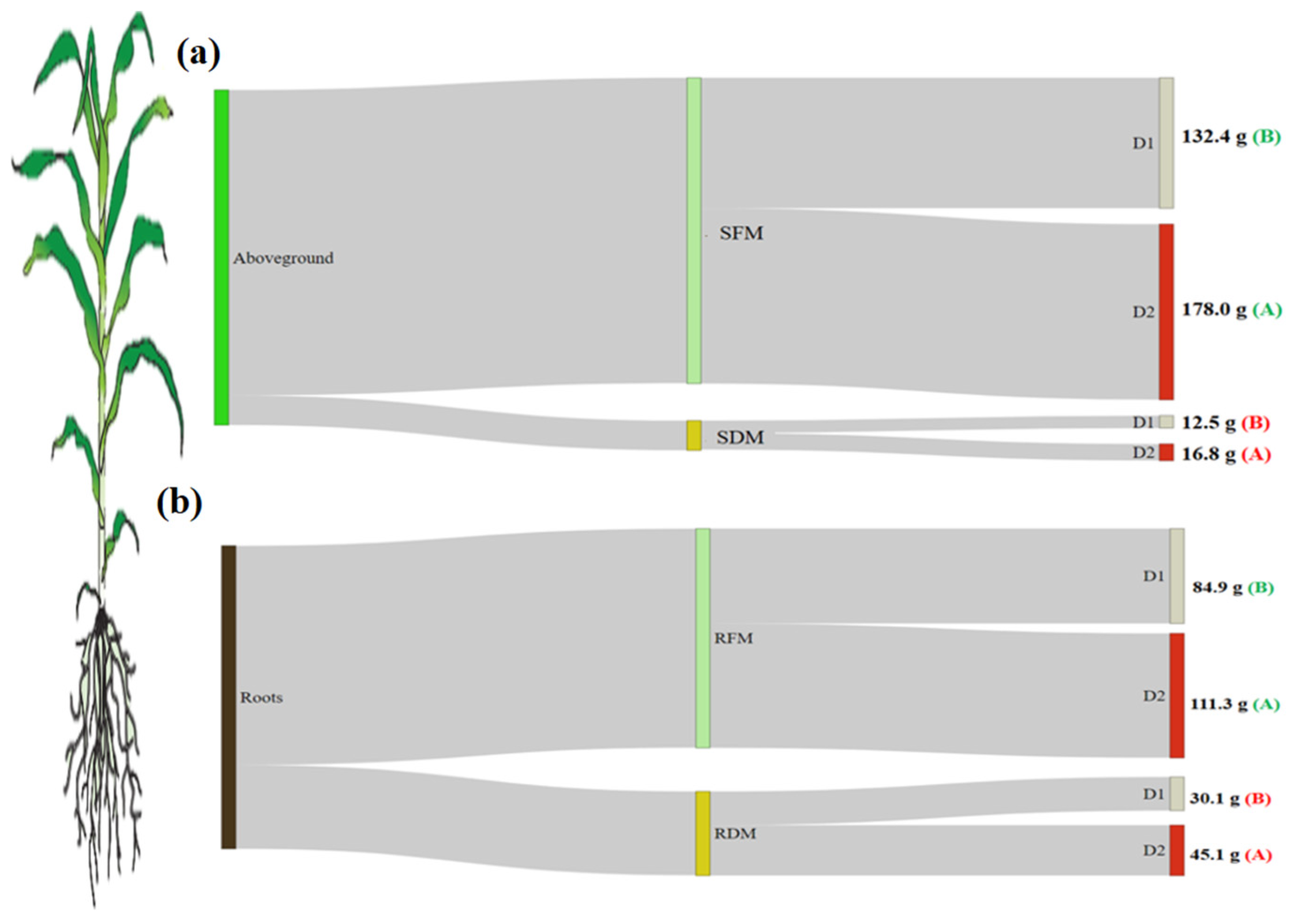 Agronomy 12 02884 g002 Agronomy 12 02884 g002