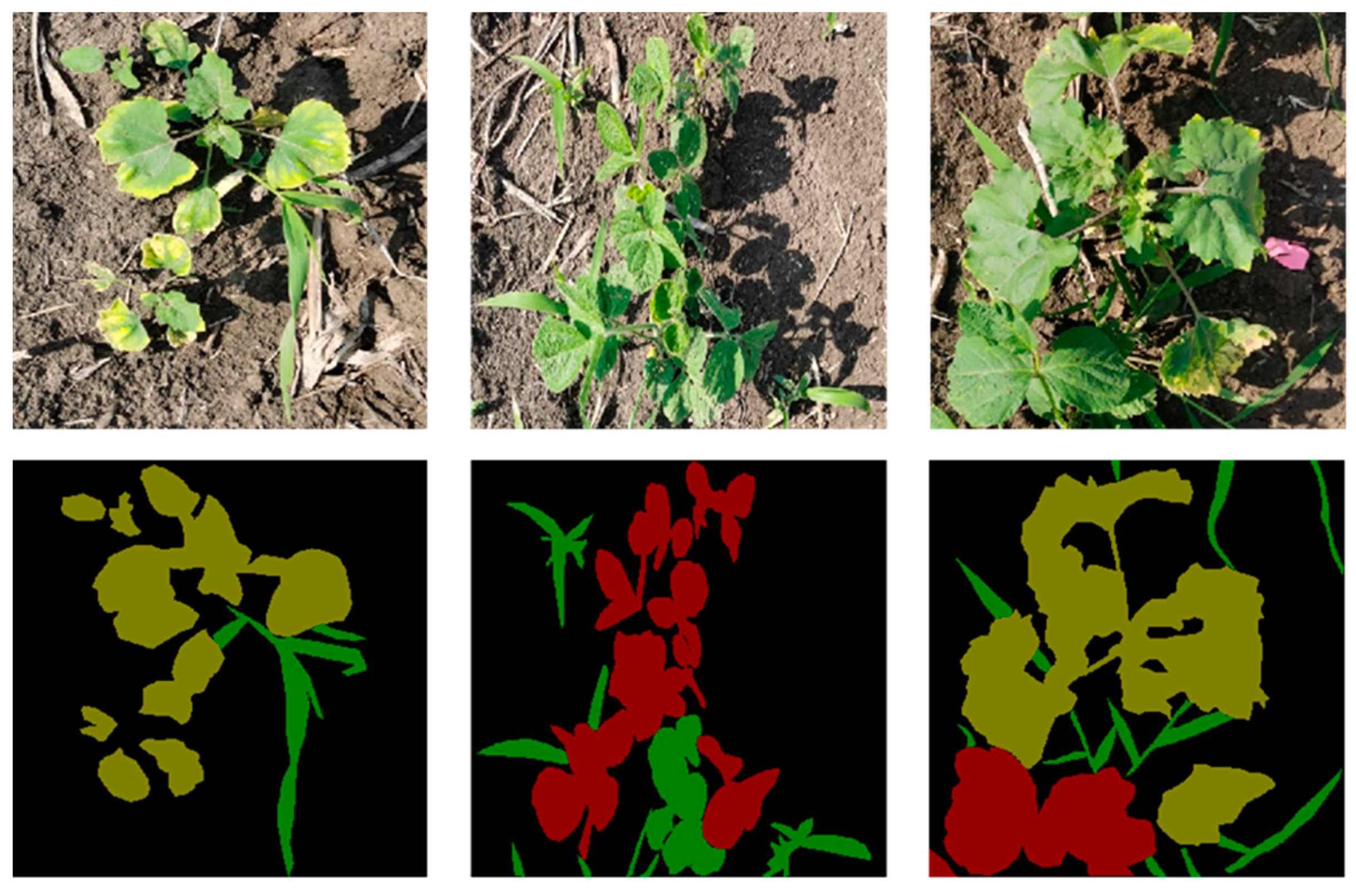 Agronomy 12 02889 g002