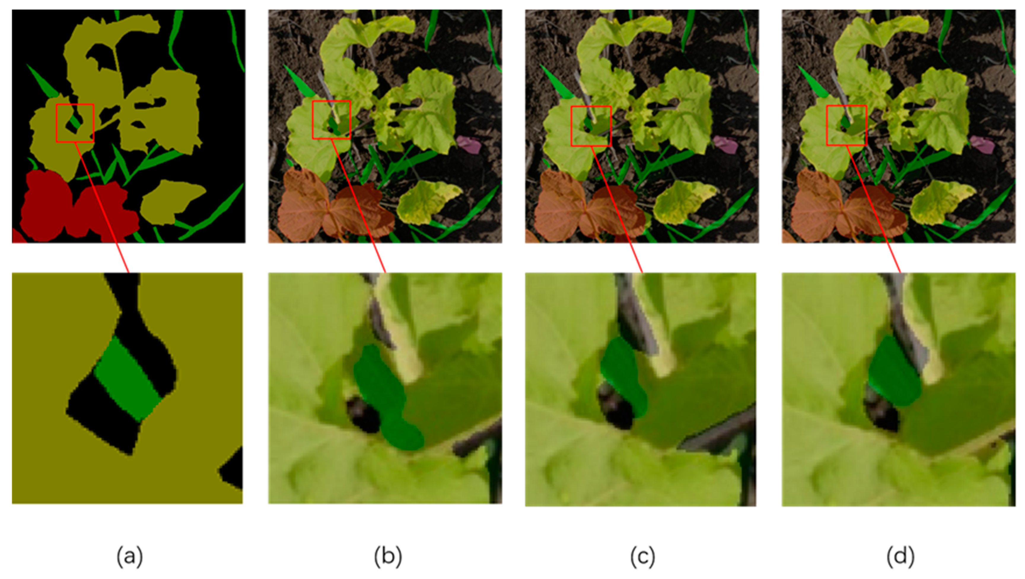 Agronomy 12 02889 g006