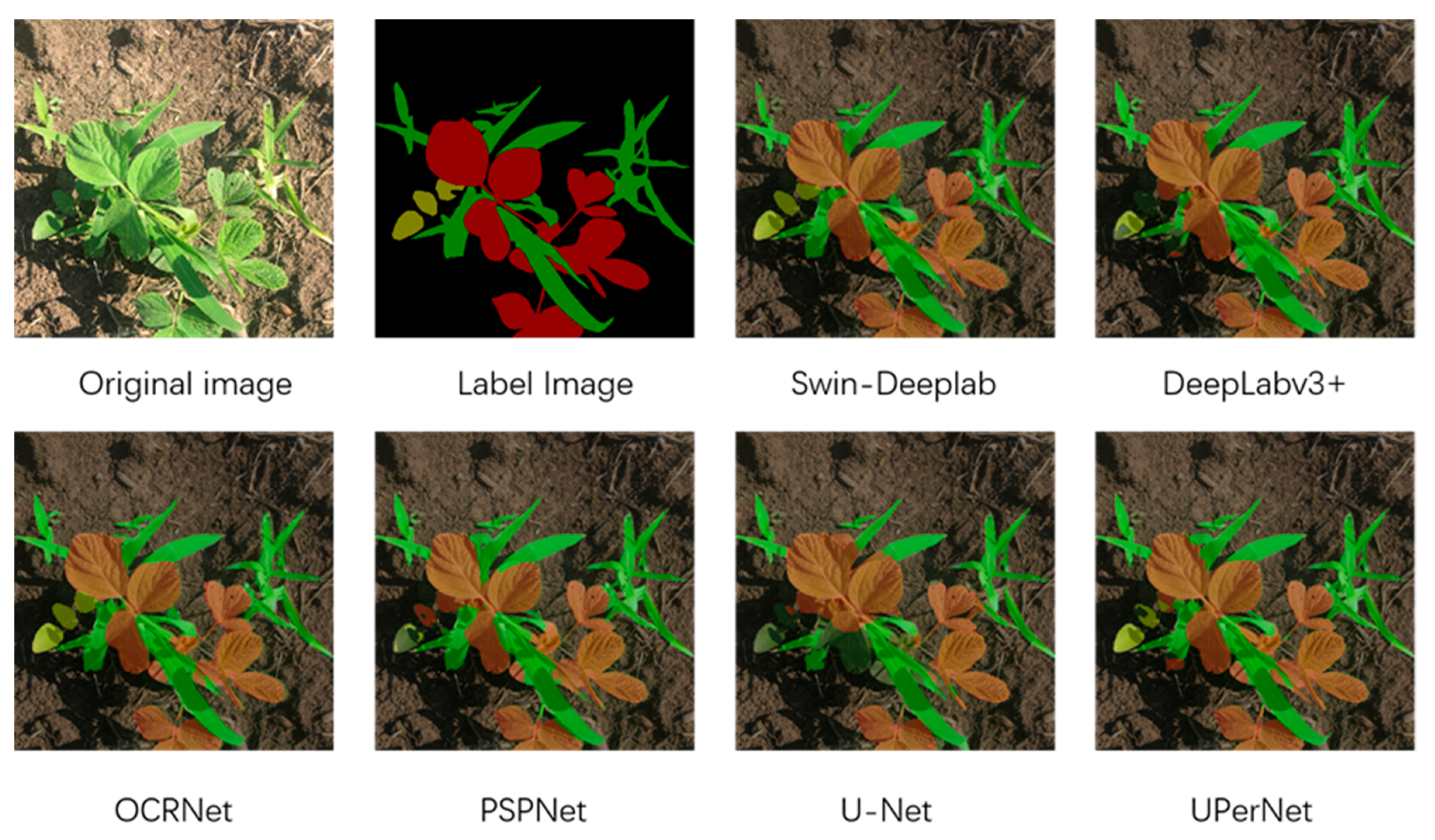 Agronomy 12 02889 g009