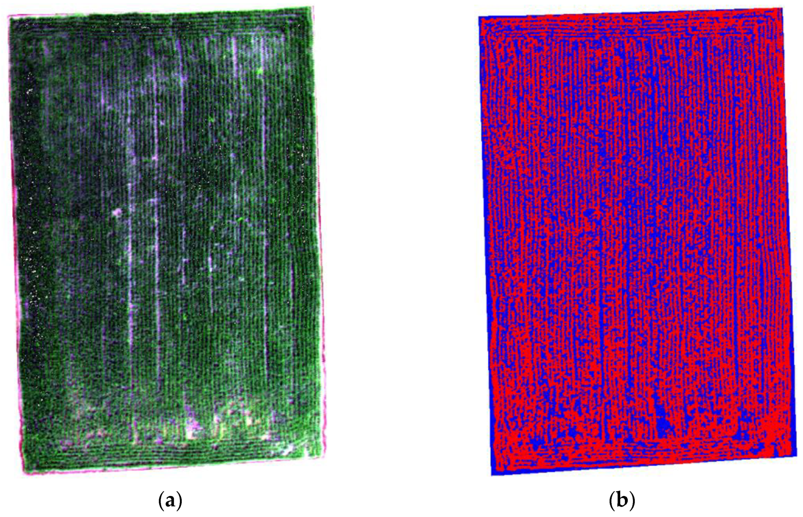 Agronomy 12 02893 g003 Agronomy 12 02893 g003