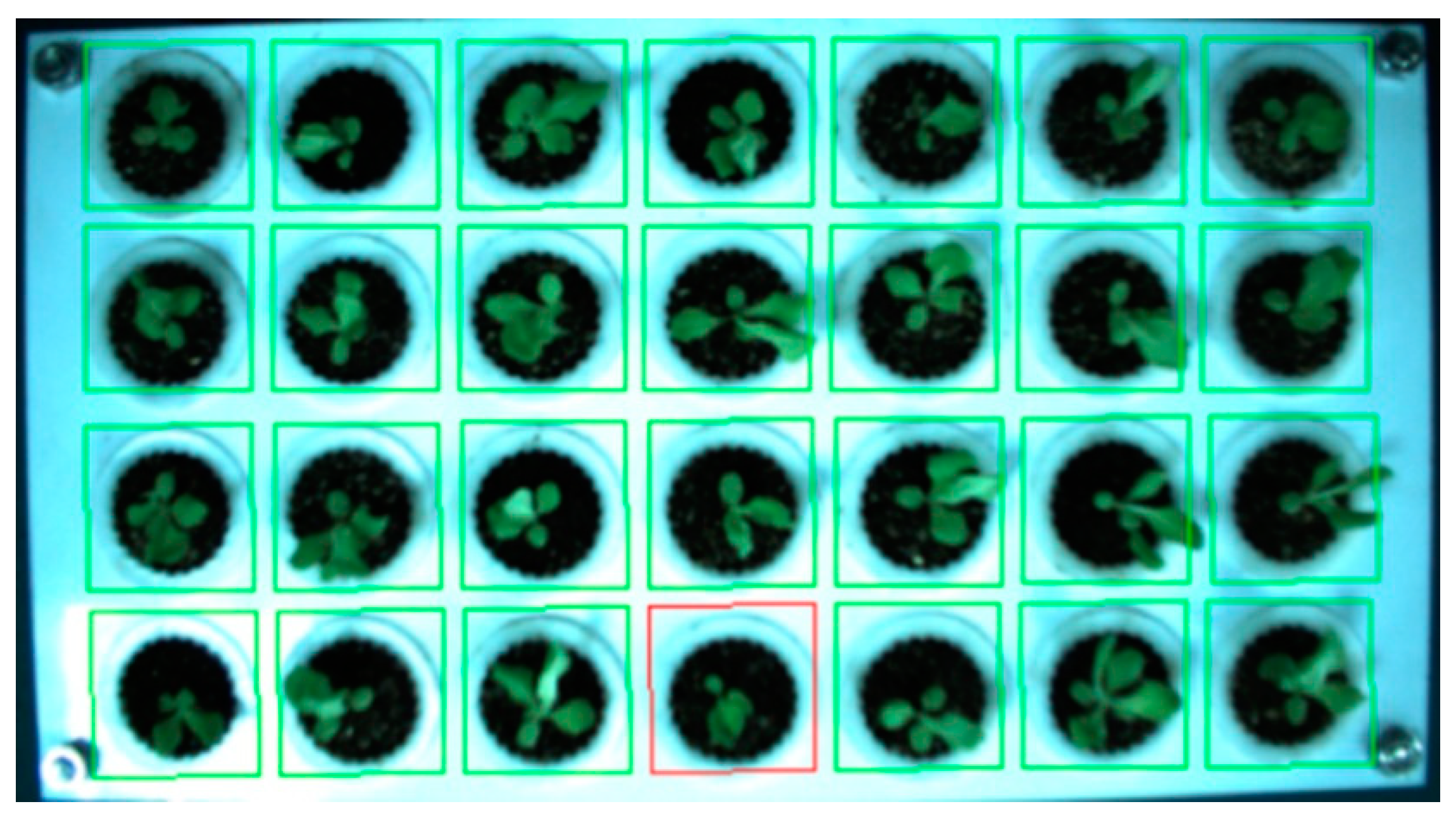 Agronomy 12 02899 g008 Agronomy 12 02899 g008