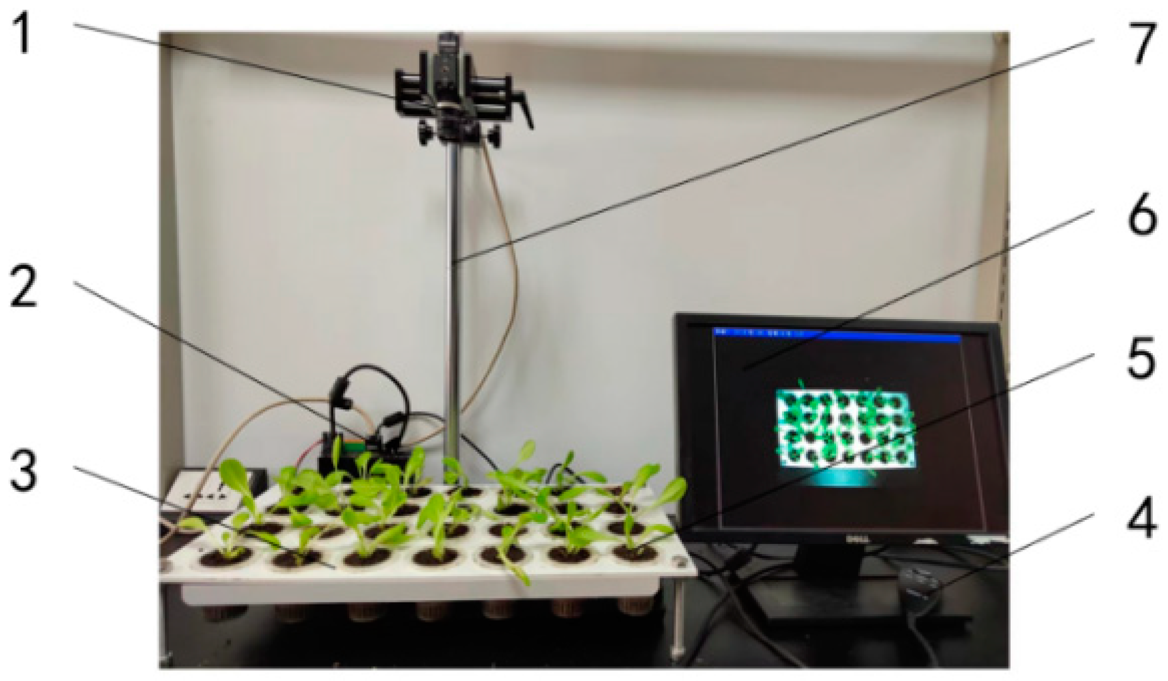 Agronomy 12 02899 g009 Agronomy 12 02899 g009