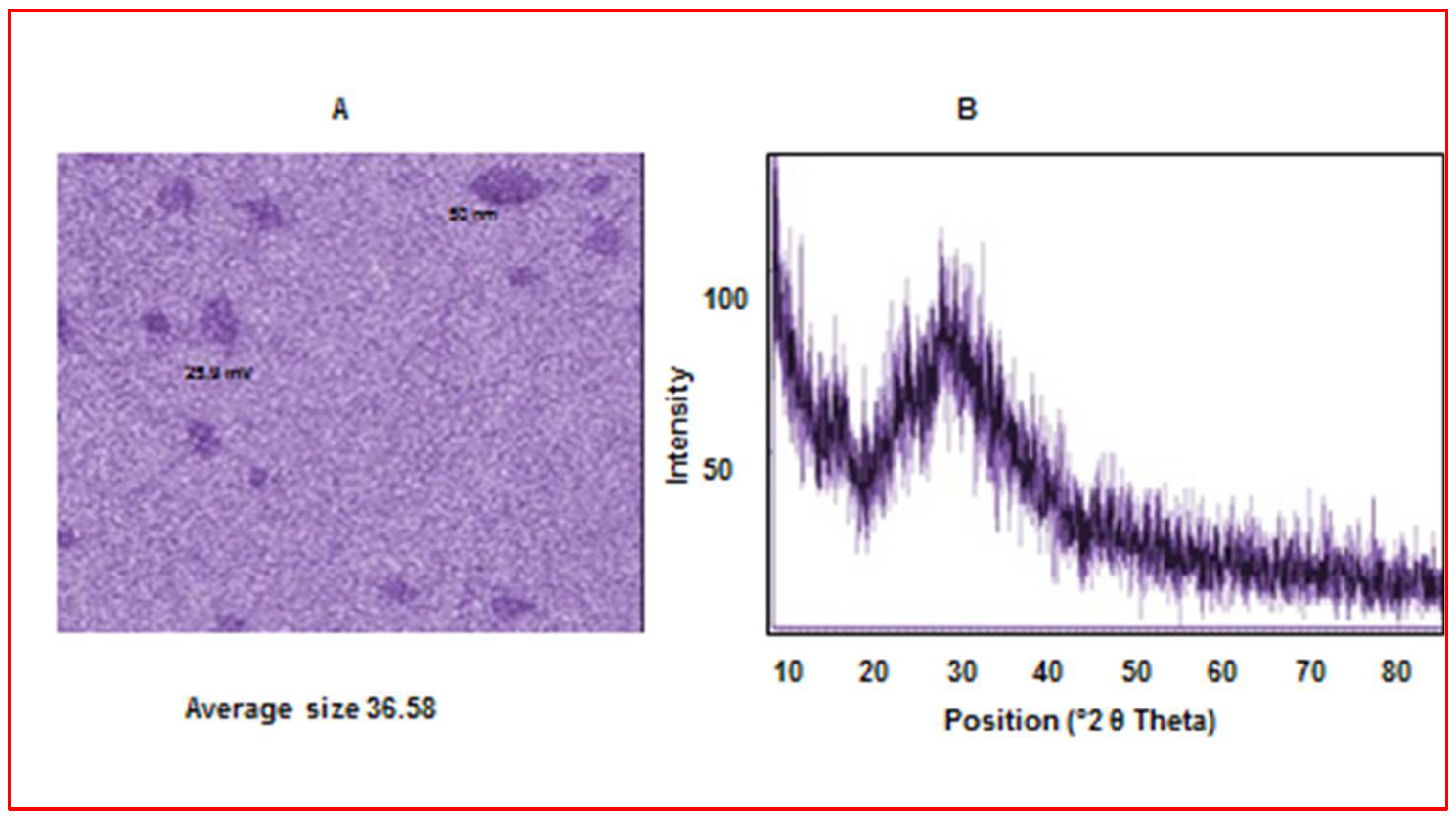 Agronomy 12 02901 g004