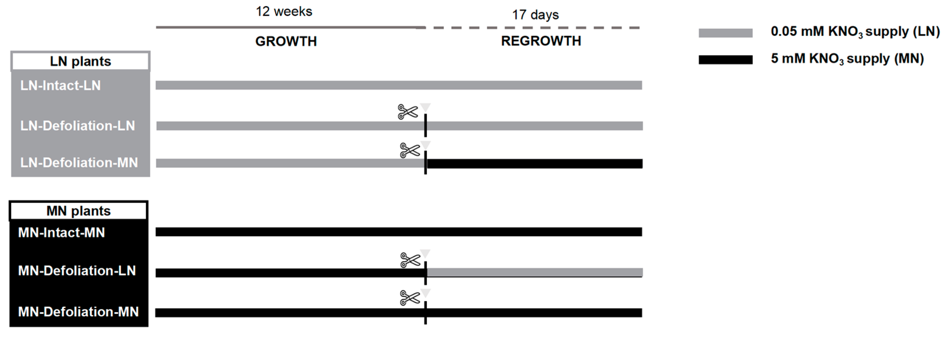 Agronomy 12 02902 g001 Agronomy 12 02902 g001