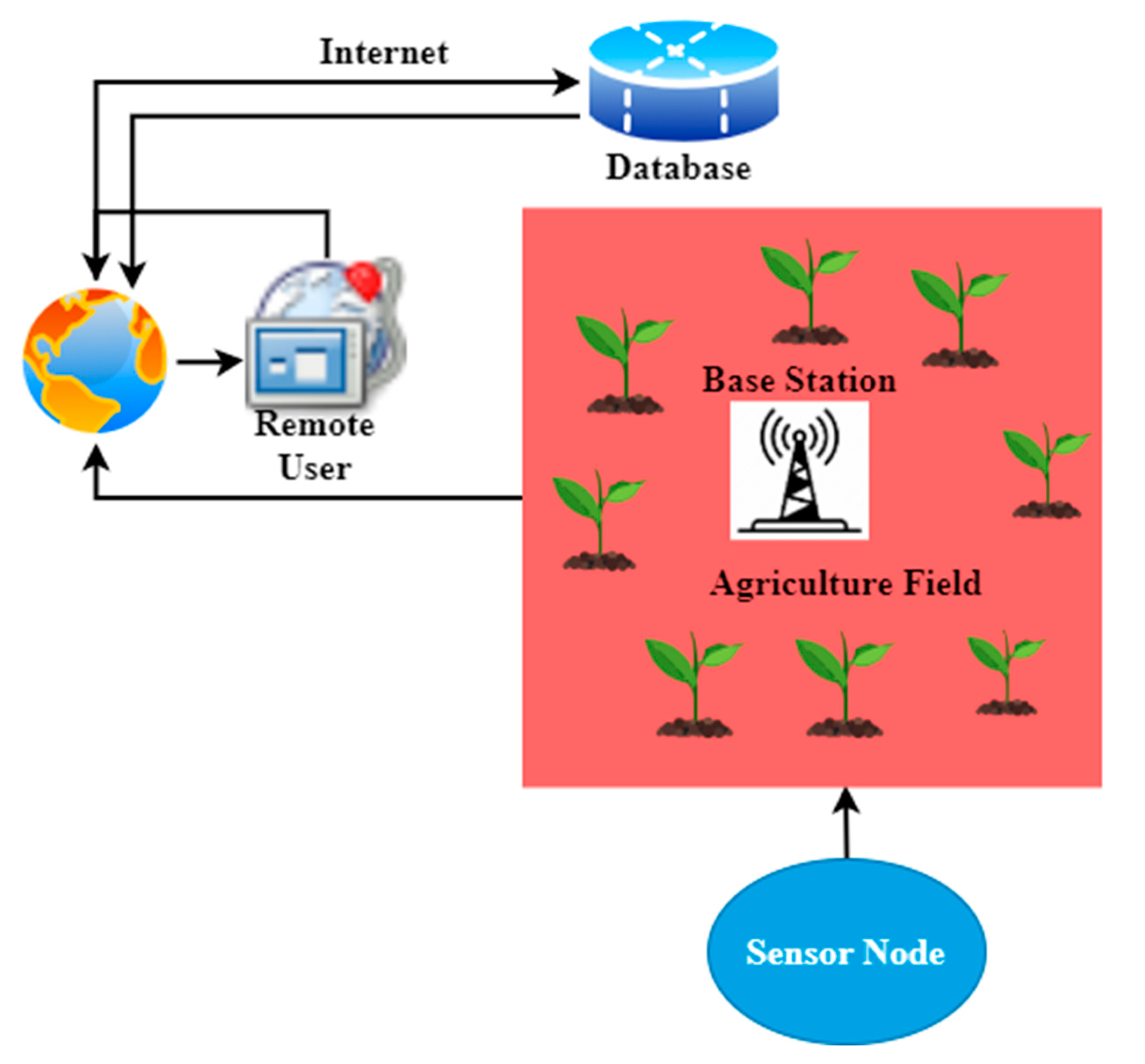 Agronomy 12 02905 g004