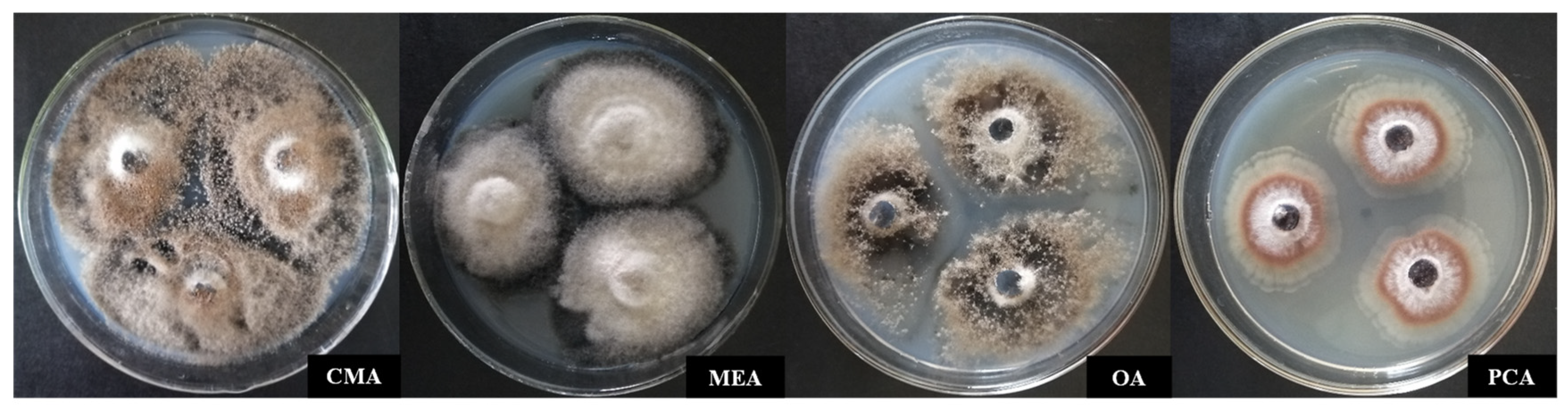 Agronomy 12 02906 g002 Agronomy 12 02906 g002