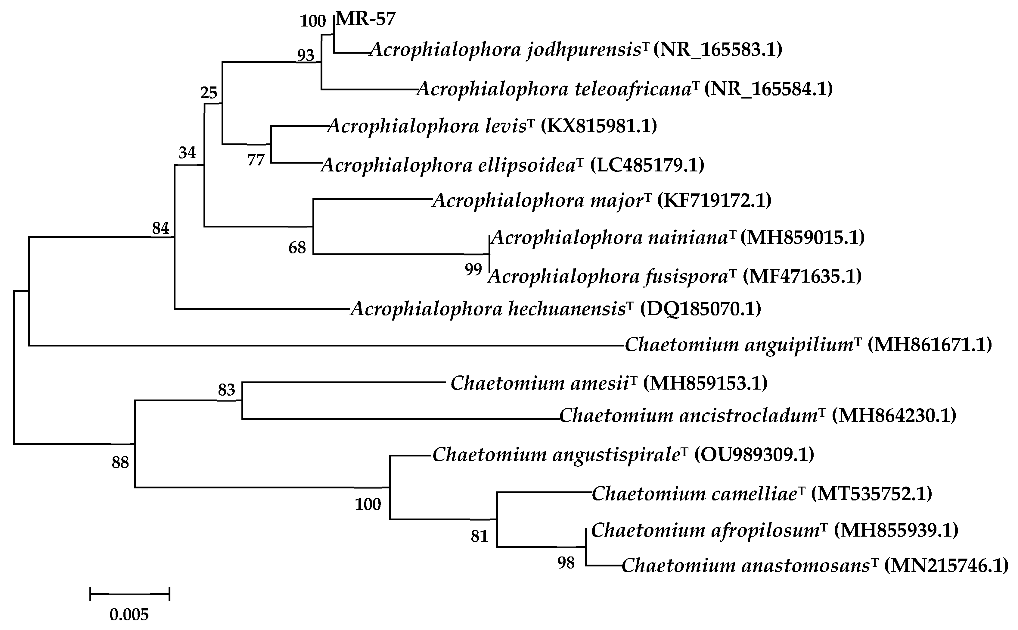 Agronomy 12 02906 g004 Agronomy 12 02906 g004