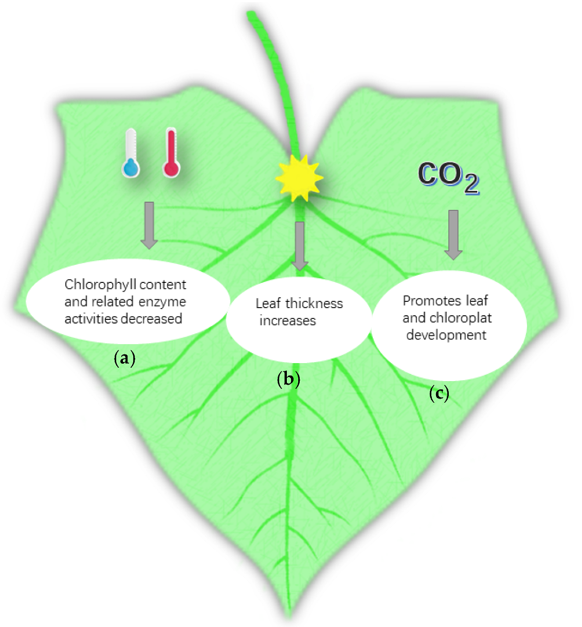 Agronomy 12 02908 g002 Agronomy 12 02908 g002