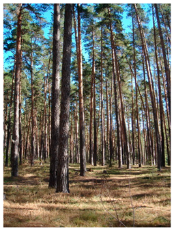 Agronomy 12 02910 i001 Agronomy 12 02910 i001