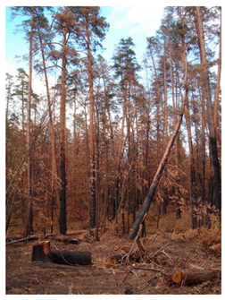 Agronomy 12 02910 i005 Agronomy 12 02910 i005