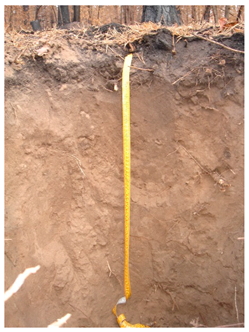 Agronomy 12 02910 i006 Agronomy 12 02910 i006