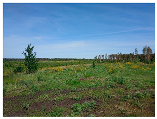 Agronomy 12 02910 i007 Agronomy 12 02910 i007