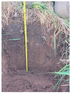 Agronomy 12 02910 i010 Agronomy 12 02910 i010