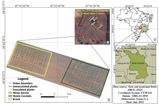 Early Detection of Coffee Leaf Rust Caused by Hemileia vastatrix Using ...
