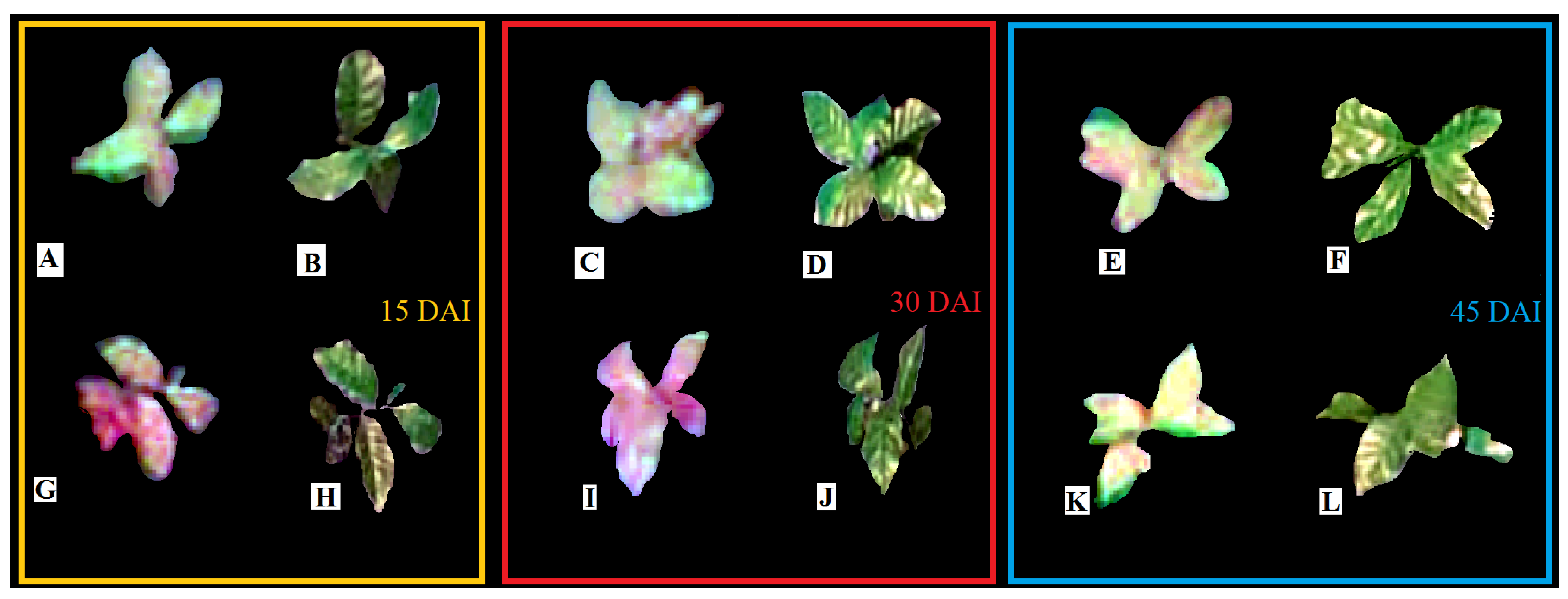 Agronomy 12 02911 g003 Agronomy 12 02911 g003