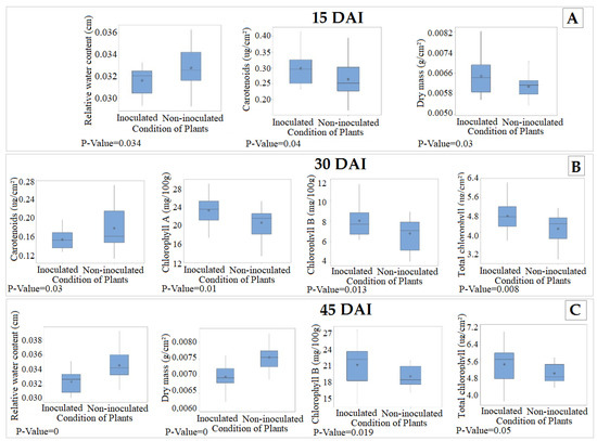 Early Detection of Coffee Leaf Rust Caused by Hemileia vastatrix Using ...